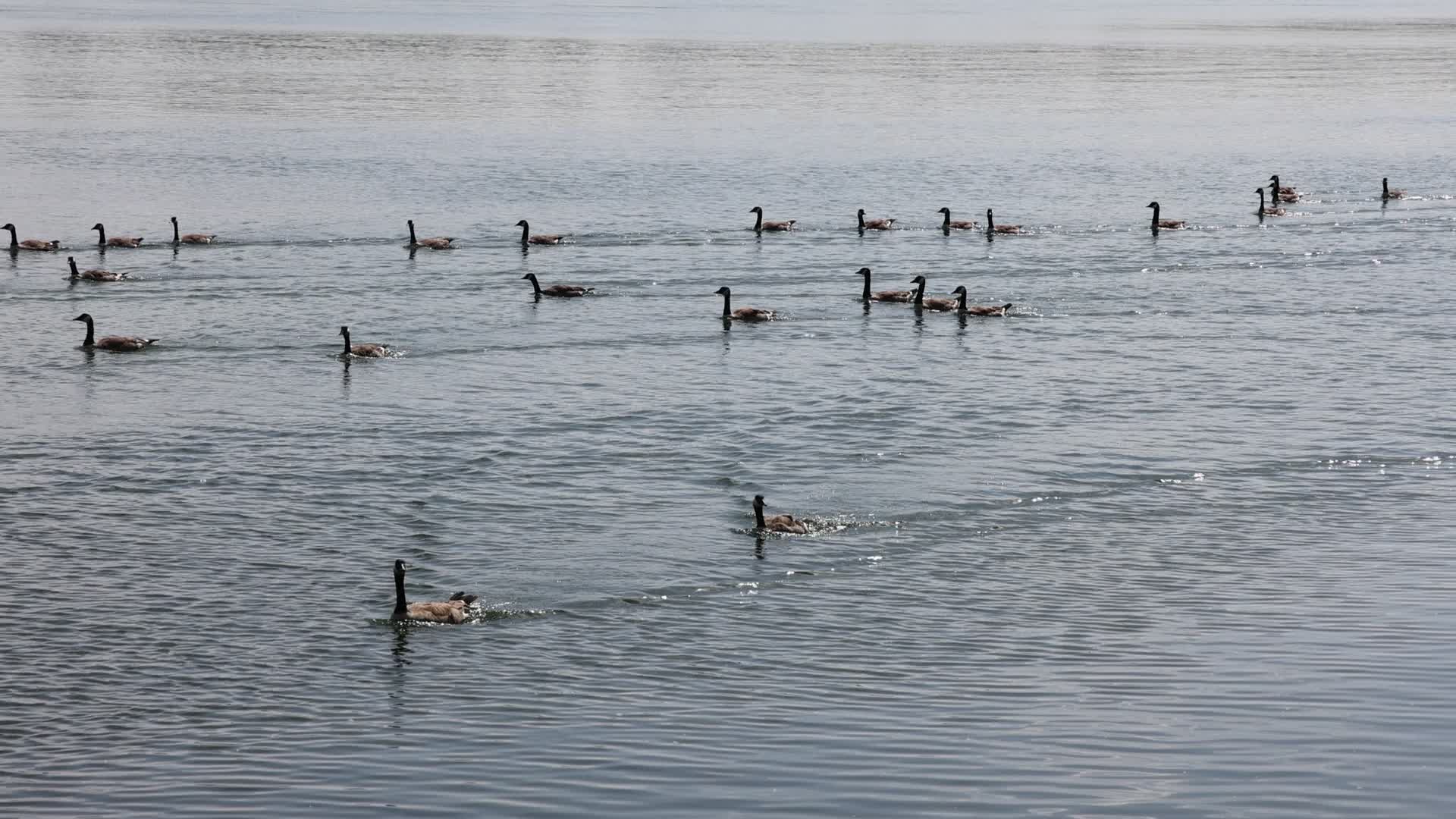 Daily life along Lake Ontario