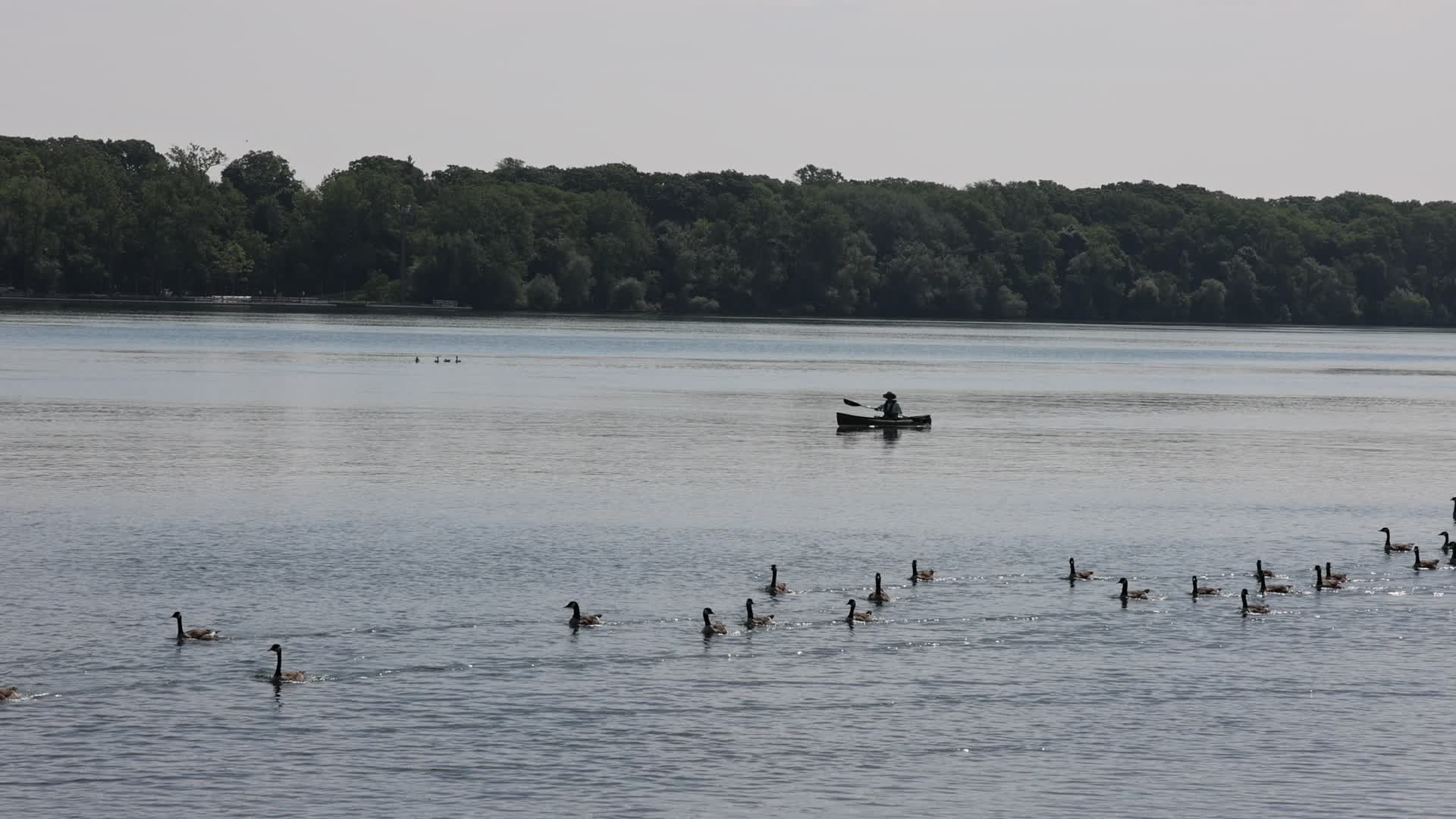 Daily life along Lake Ontario