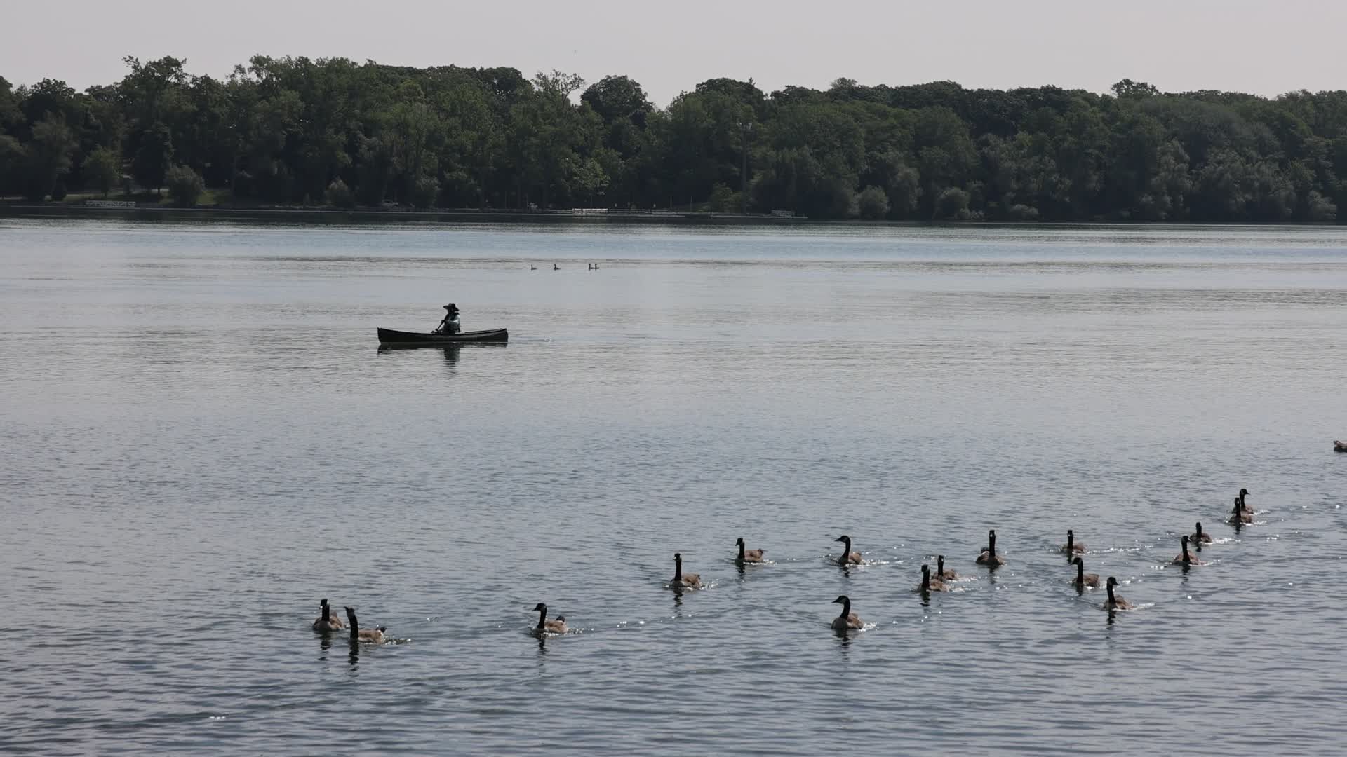 Daily life along Lake Ontario