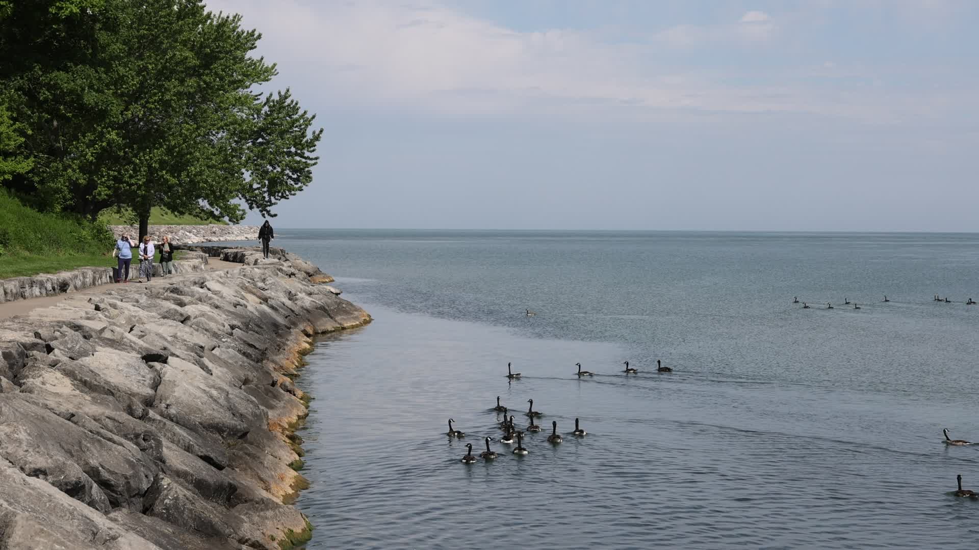 Daily life along Lake Ontario