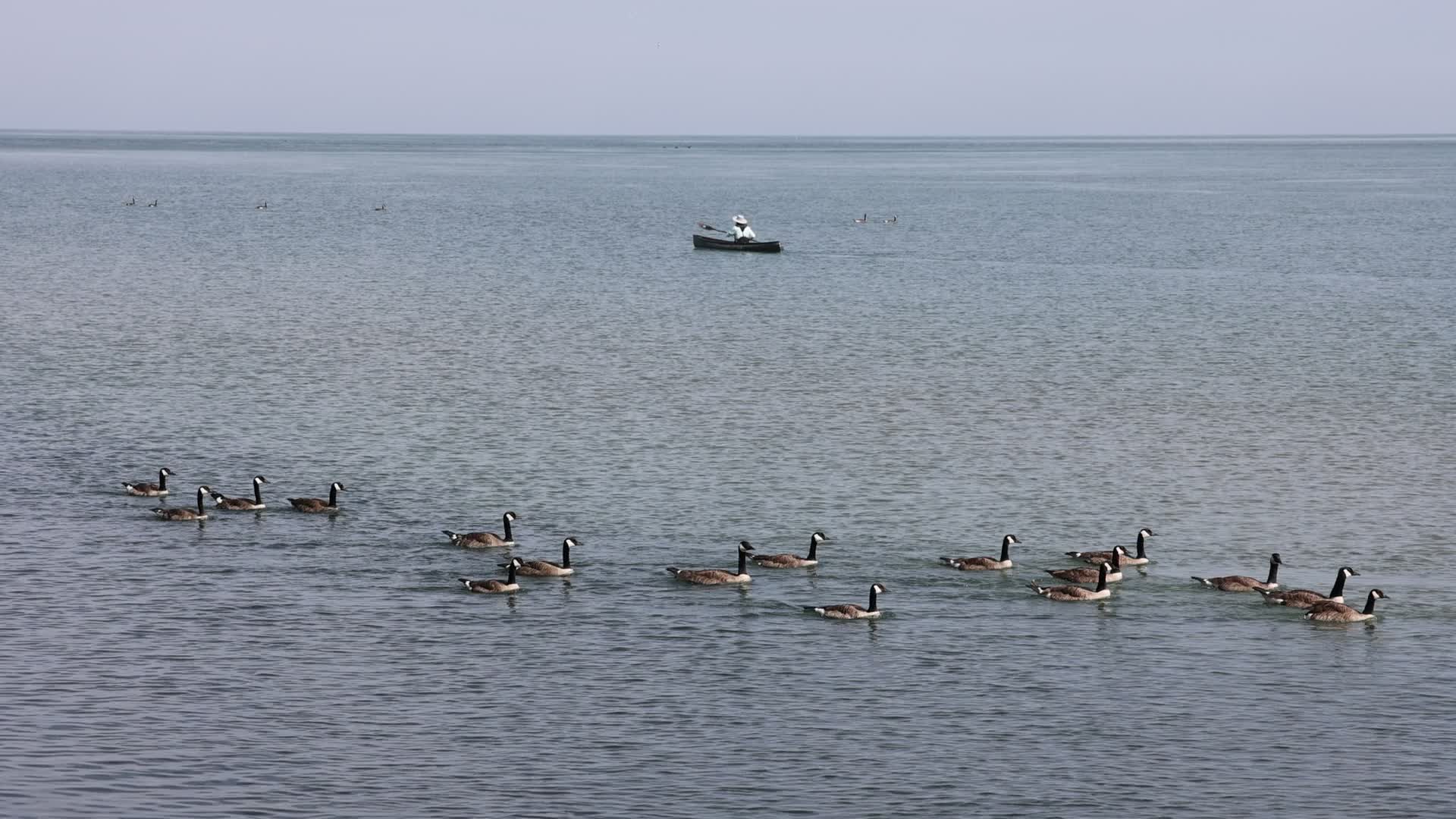 Daily life along Lake Ontario