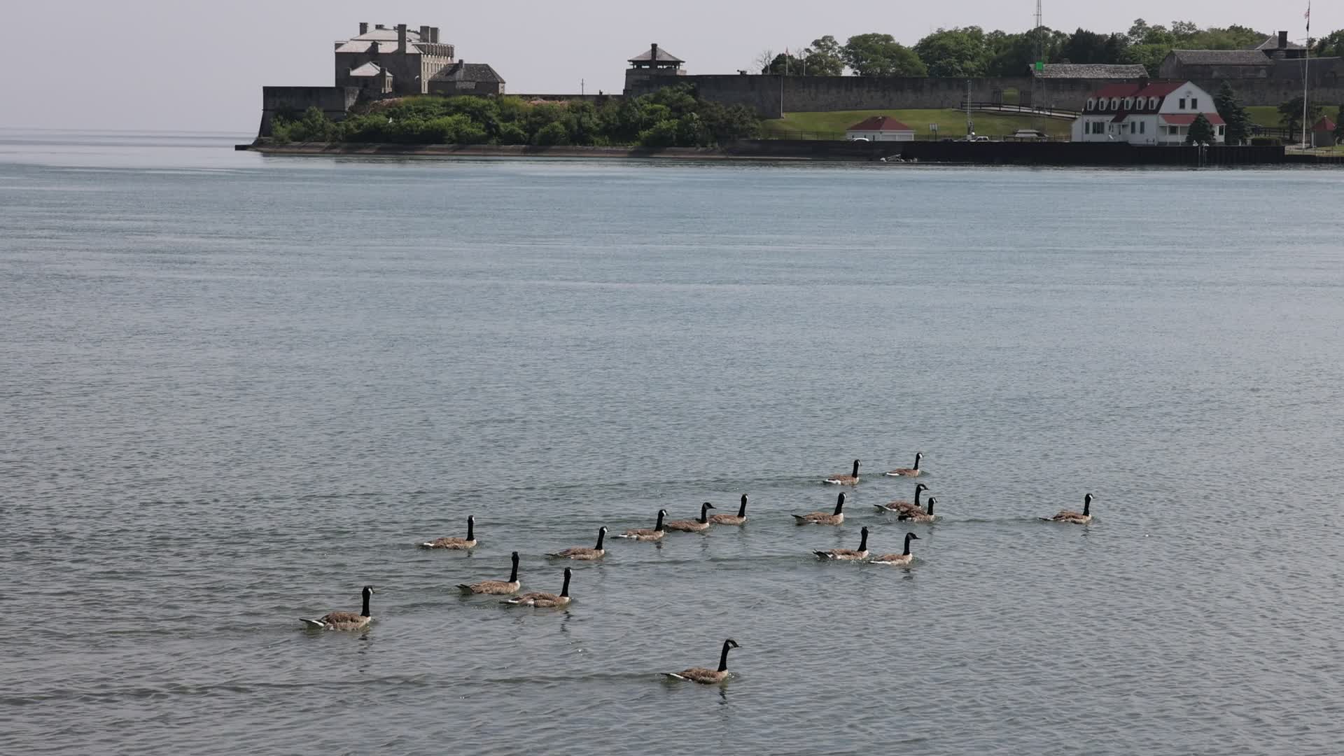 Daily life along Lake Ontario