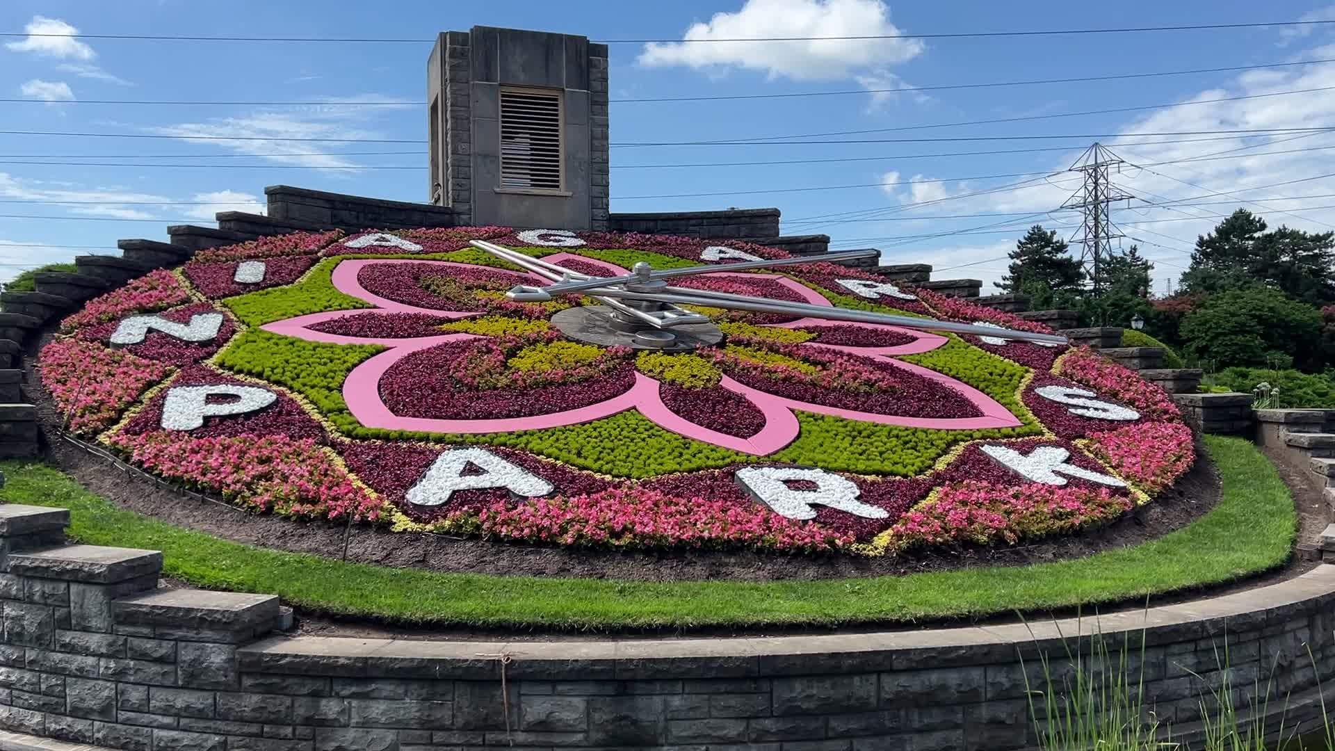 Floral clock
