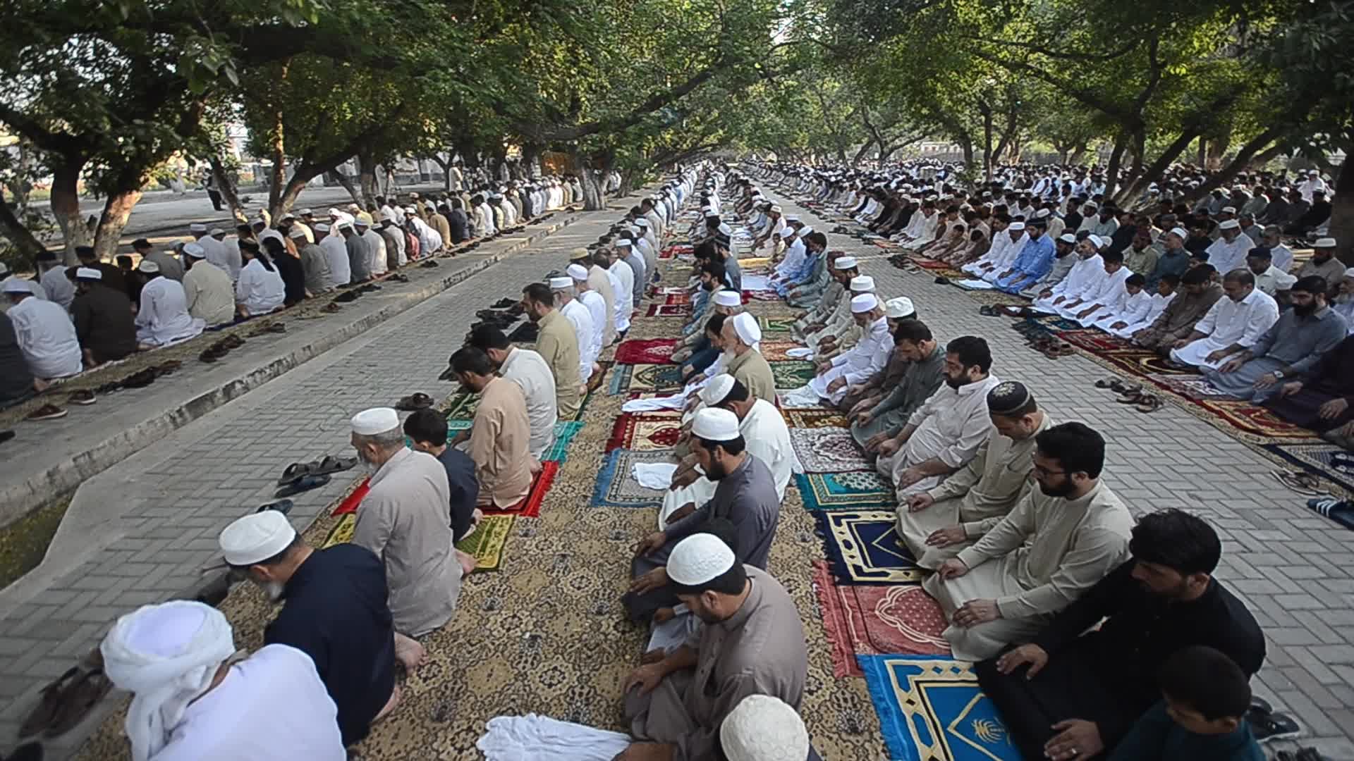 Eid al-Adha observed in Peshawar, Pakistan 