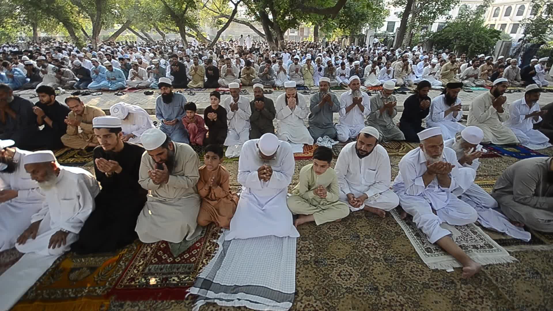 Eid al-Adha observed in Peshawar, Pakistan 