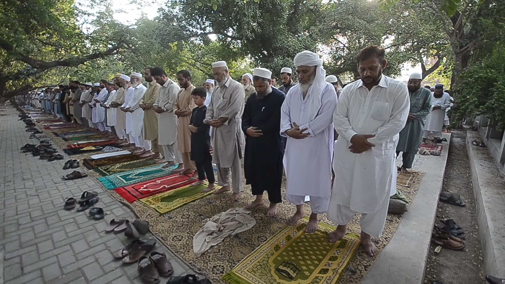 Eid al-Adha observed in Peshawar, Pakistan 