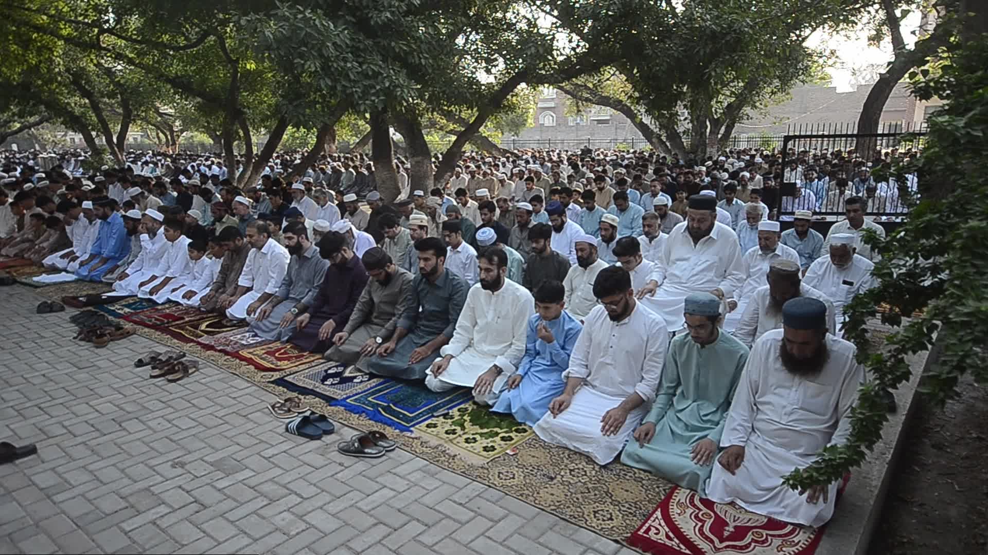 Eid al-Adha observed in Peshawar, Pakistan 