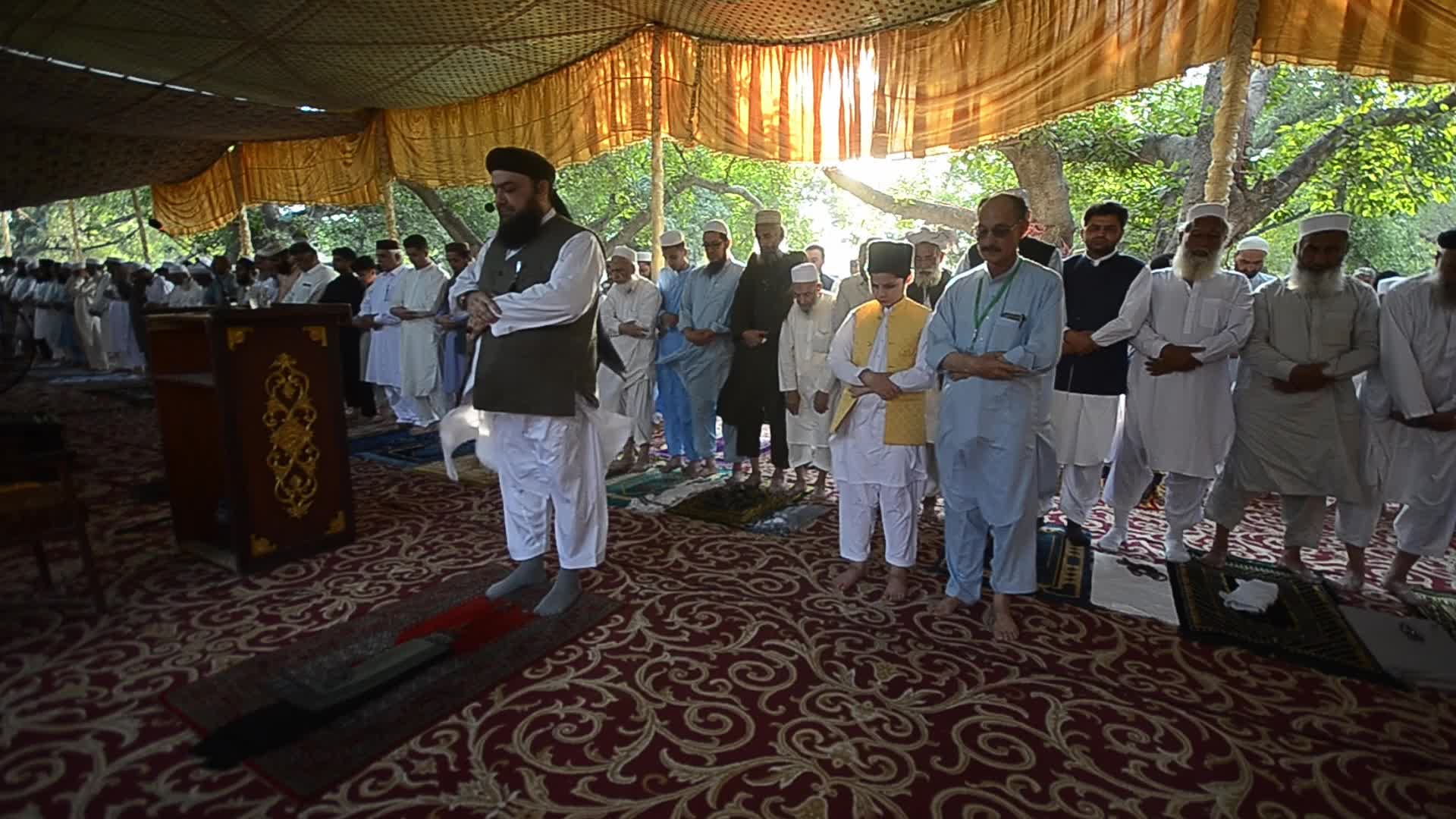 Eid al-Adha observed in Peshawar, Pakistan 