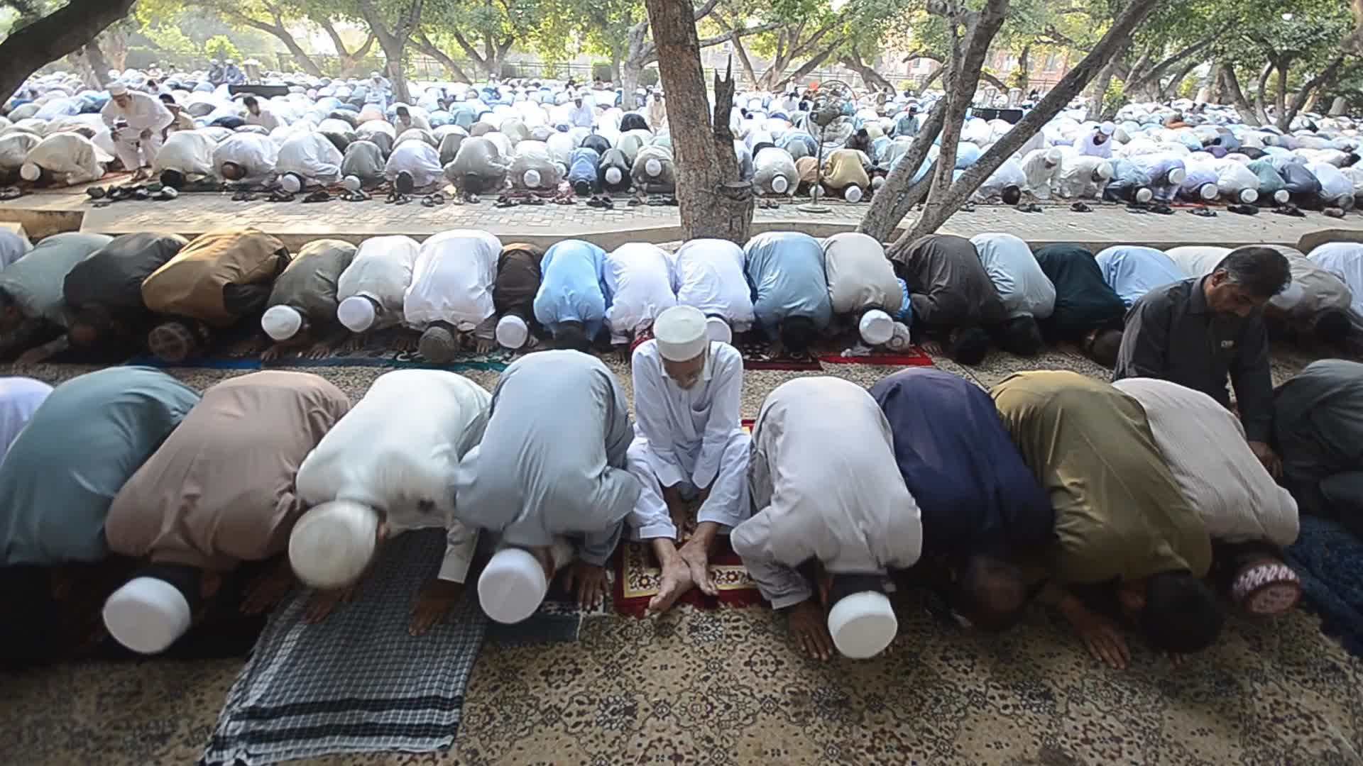 Eid al-Adha observed in Peshawar, Pakistan 