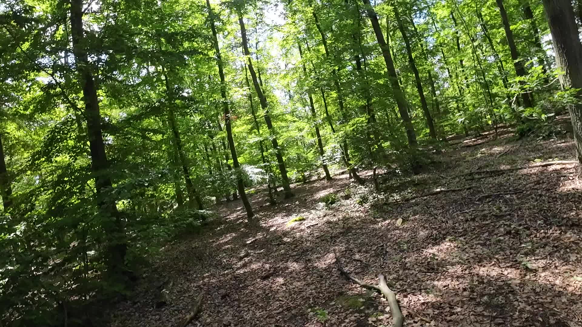 Teufelsberg In Berlin