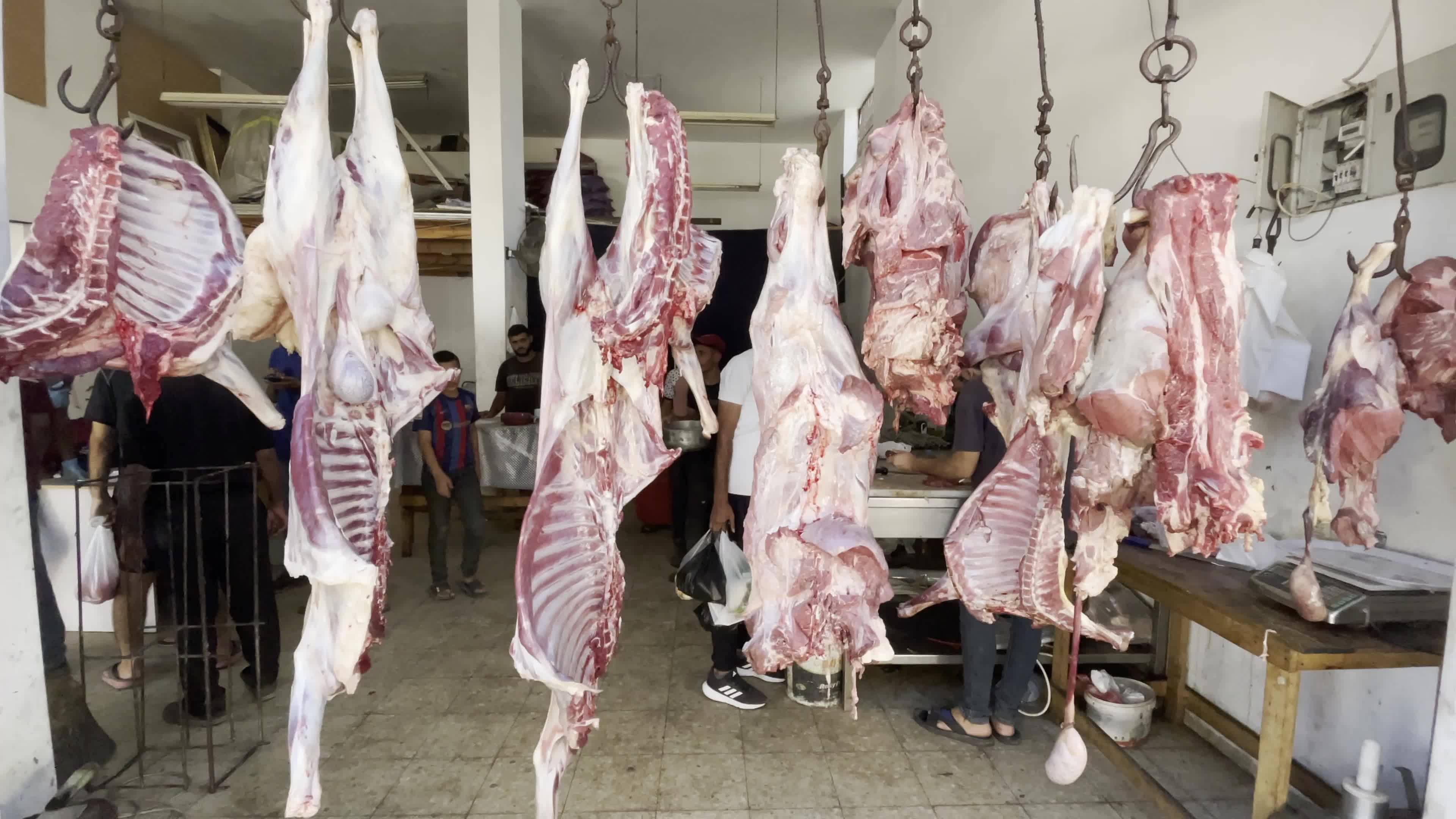 Daily Life In Gaza Amid Hamas-Israel Conflict