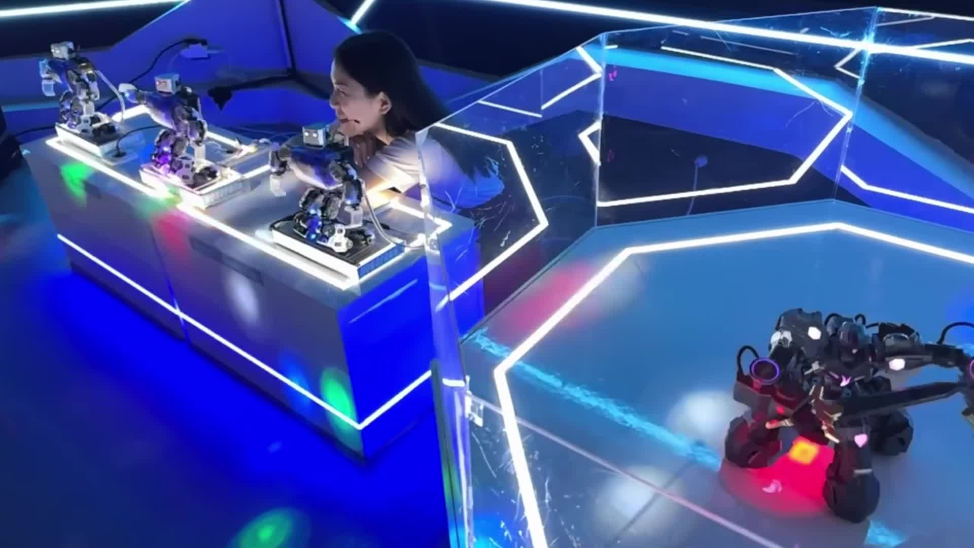 Robotic Park in Indonesia