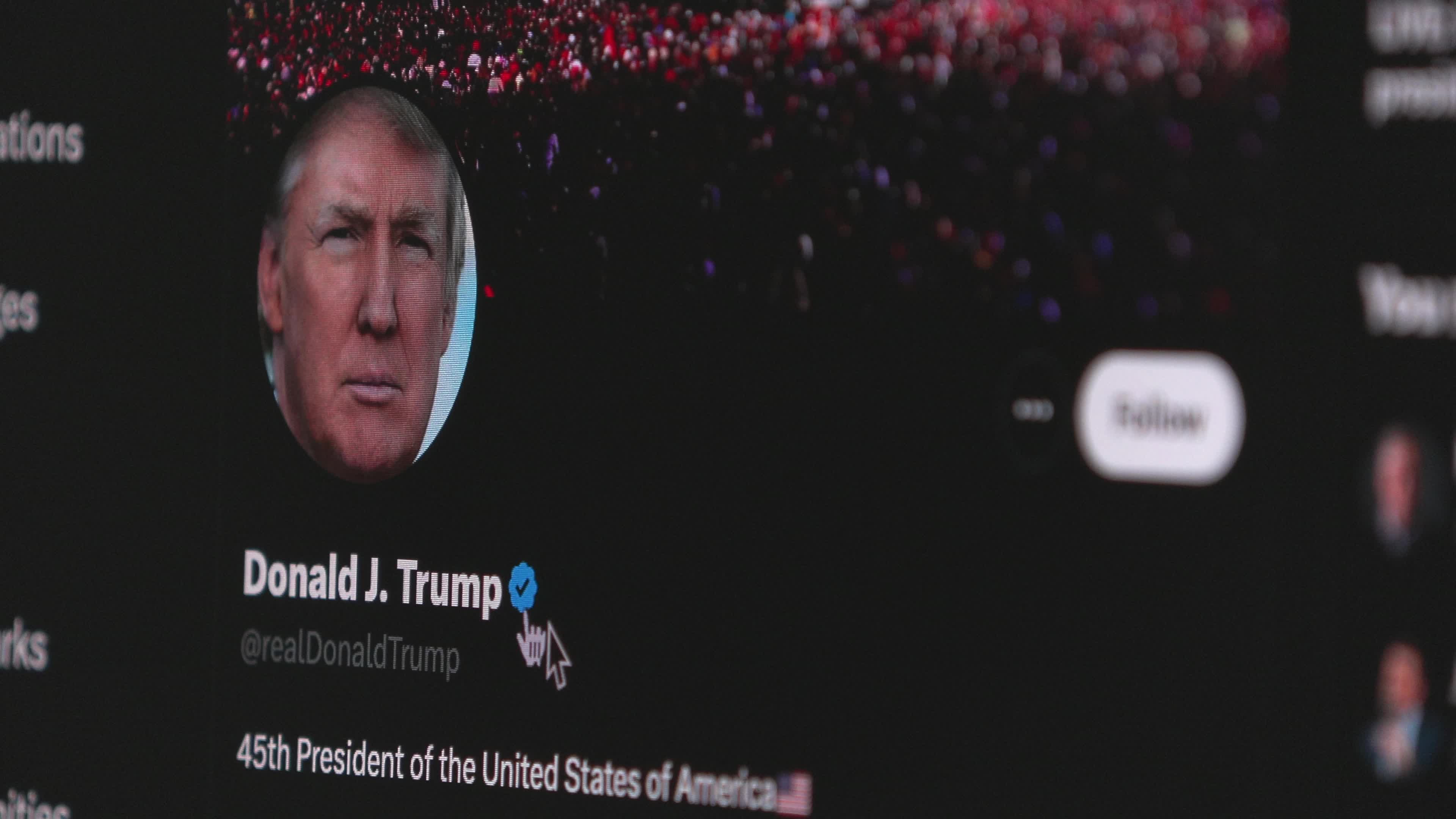 Donald Trump Twitter Illustration