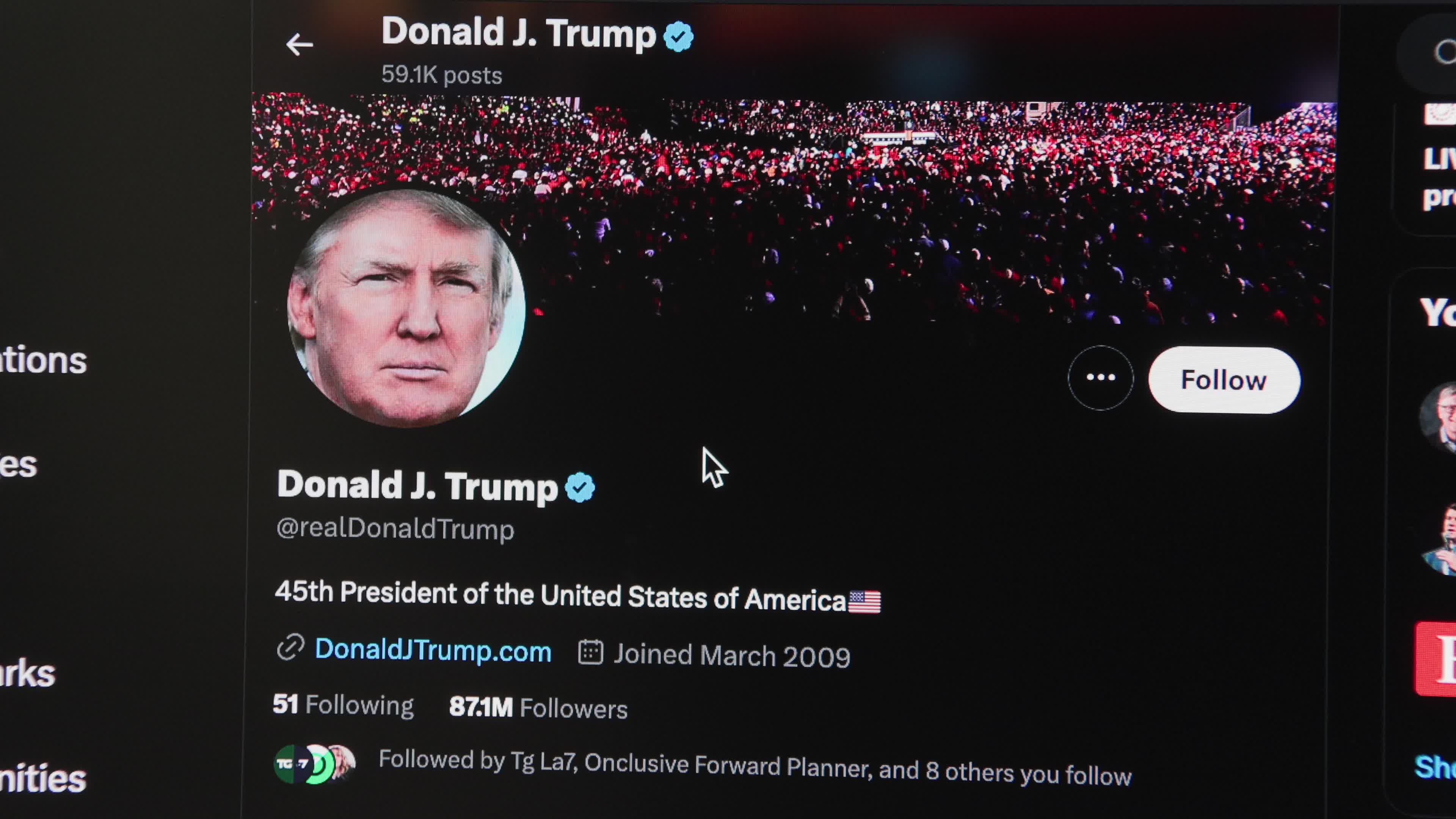 Donald Trump Twitter Illustration
