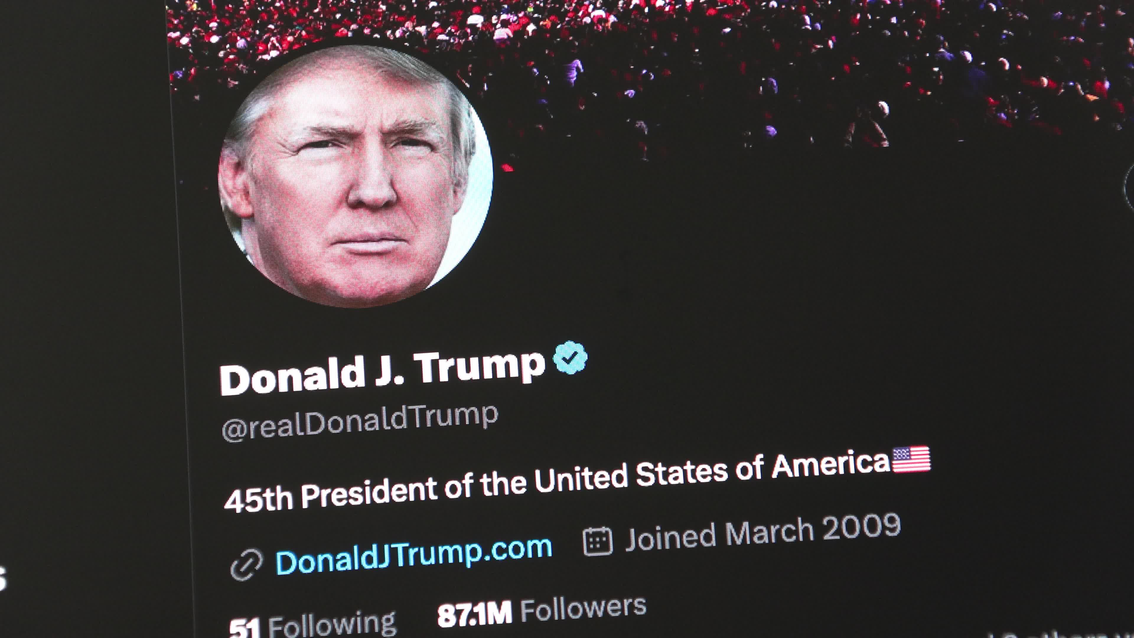 Donald Trump Twitter Illustration