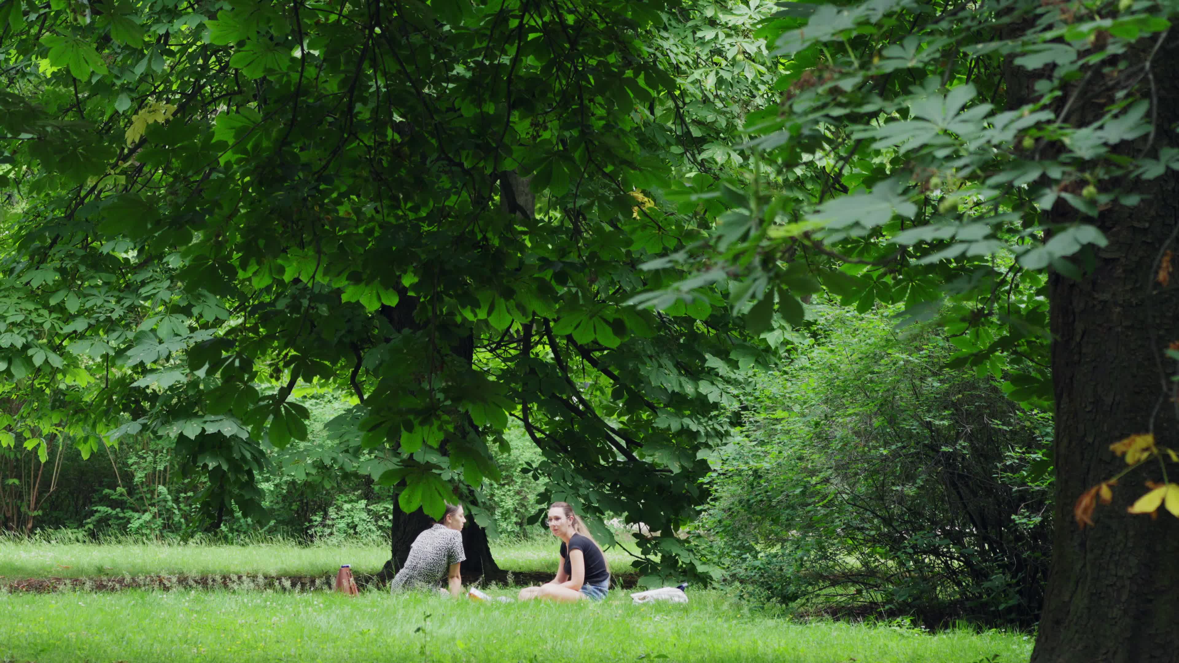 Daily life in Warsaw