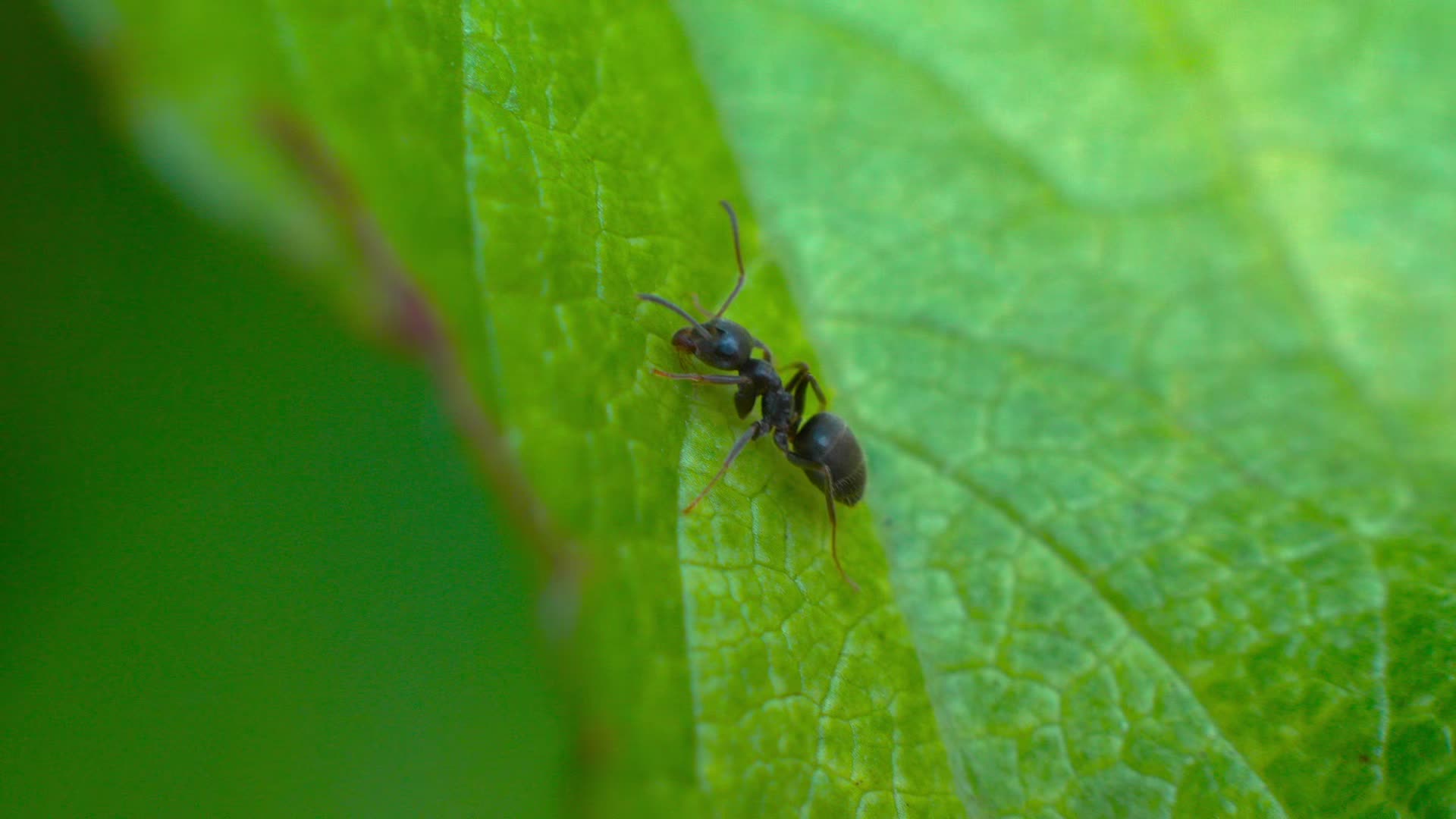 Warsaw Nature