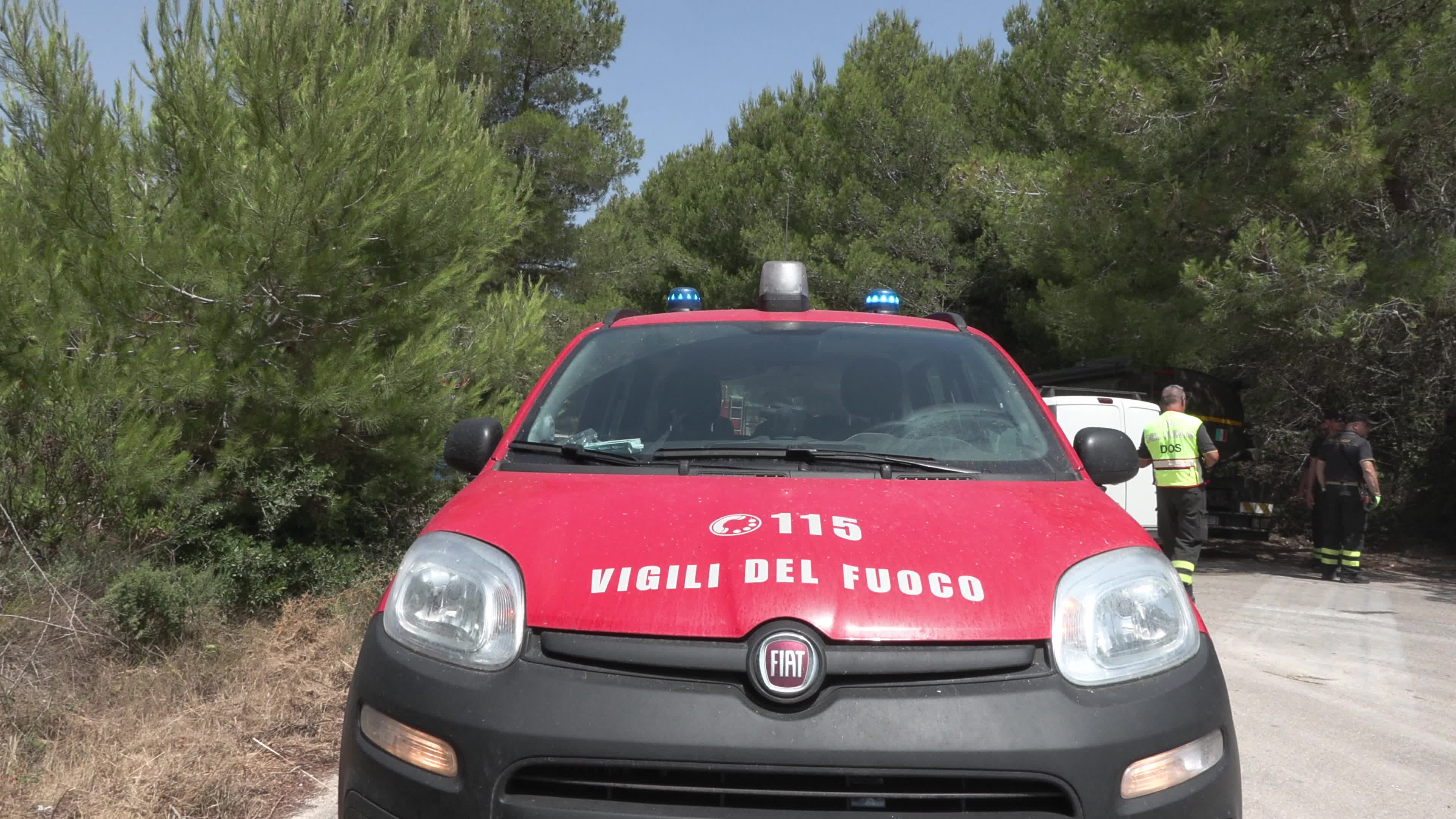 Wildfire in Le Cesine Nature Reserve