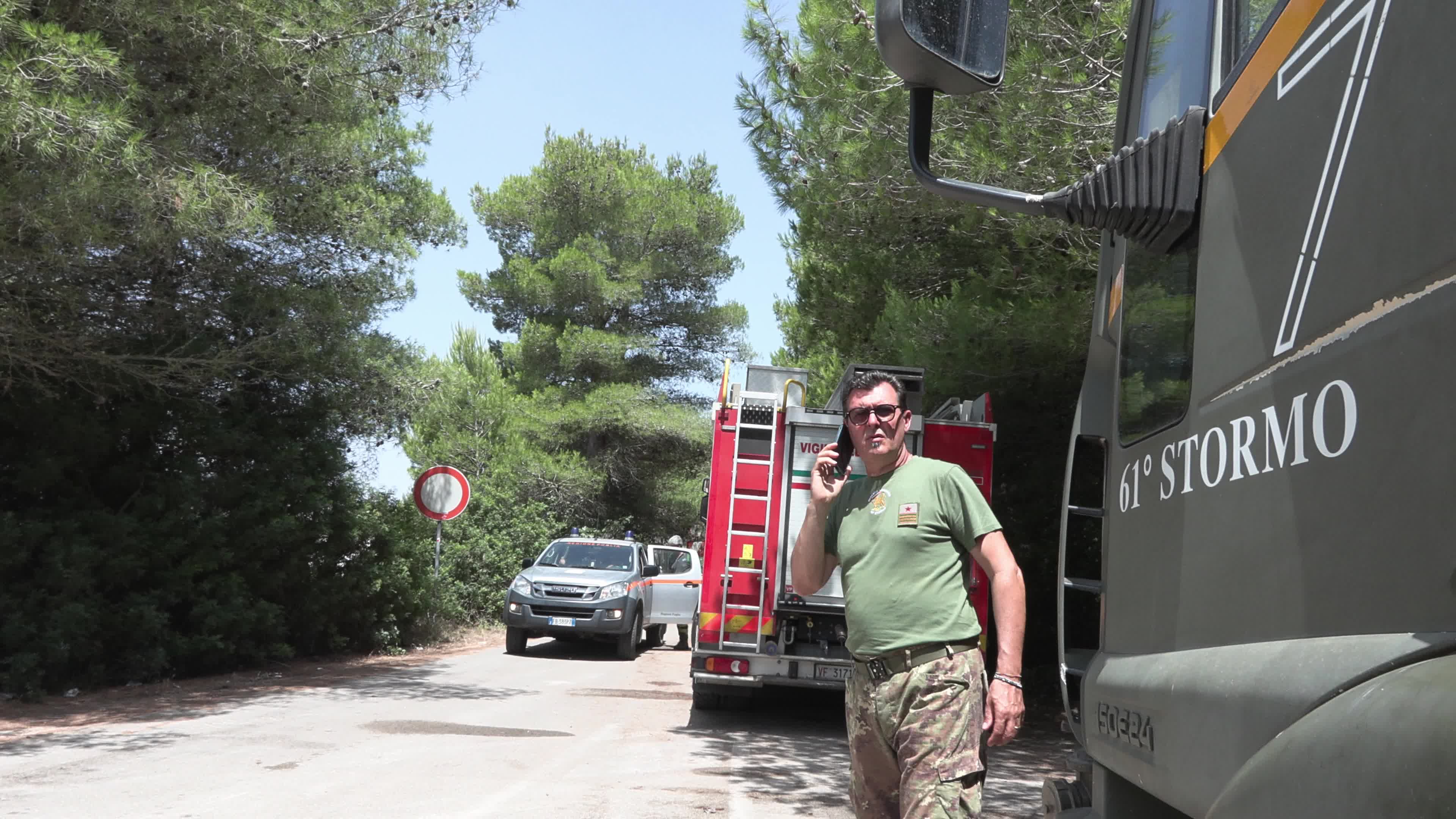 Wildfire in Le Cesine Nature Reserve