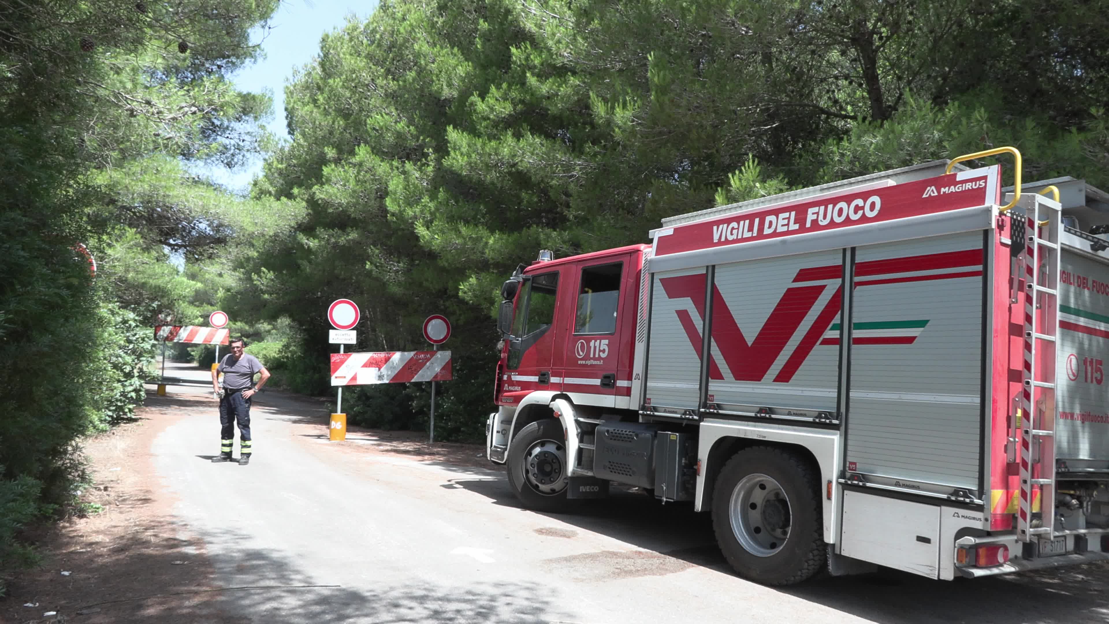 Wildfire in Le Cesine Nature Reserve
