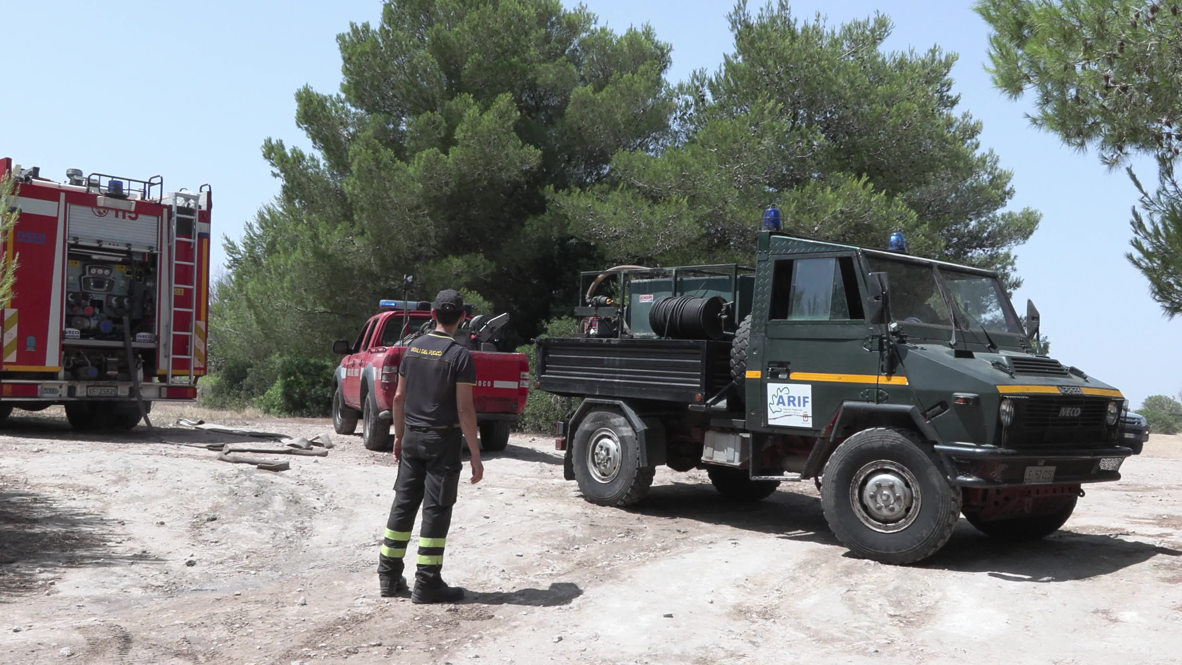 Wildfire in Le Cesine Nature Reserve