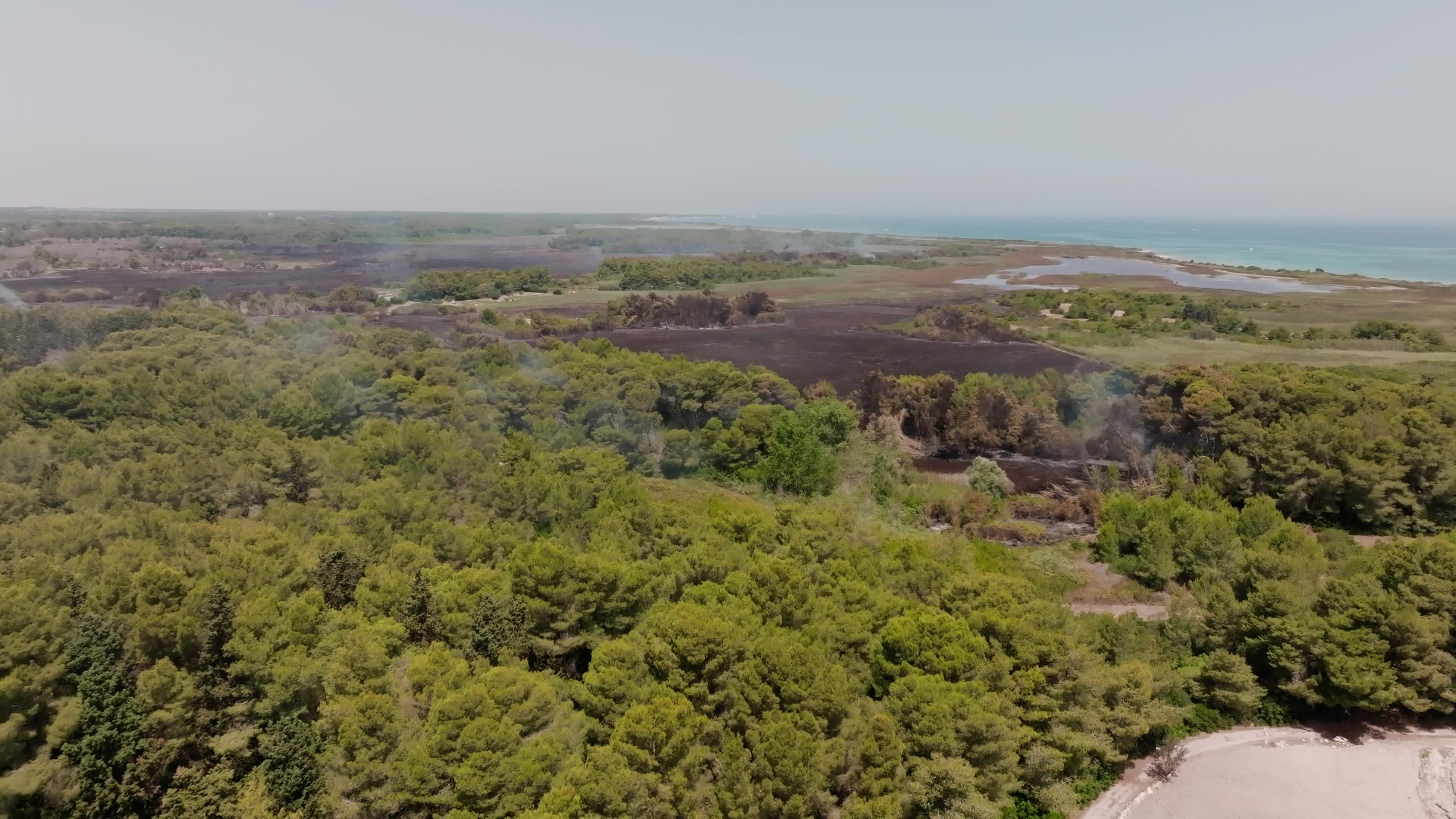 Wildfire in Le Cesine Nature Reserve