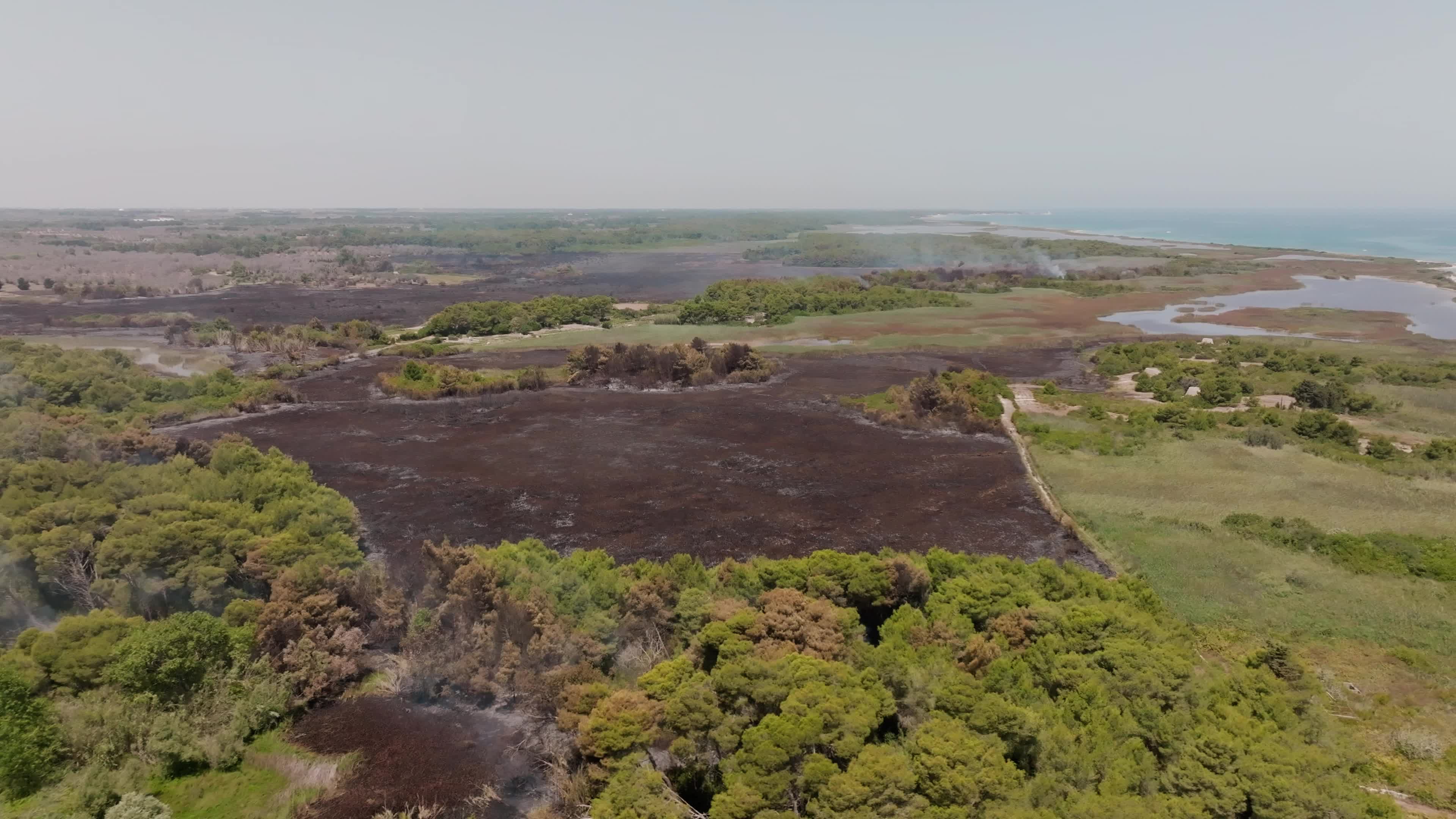 Wildfire in Le Cesine Nature Reserve