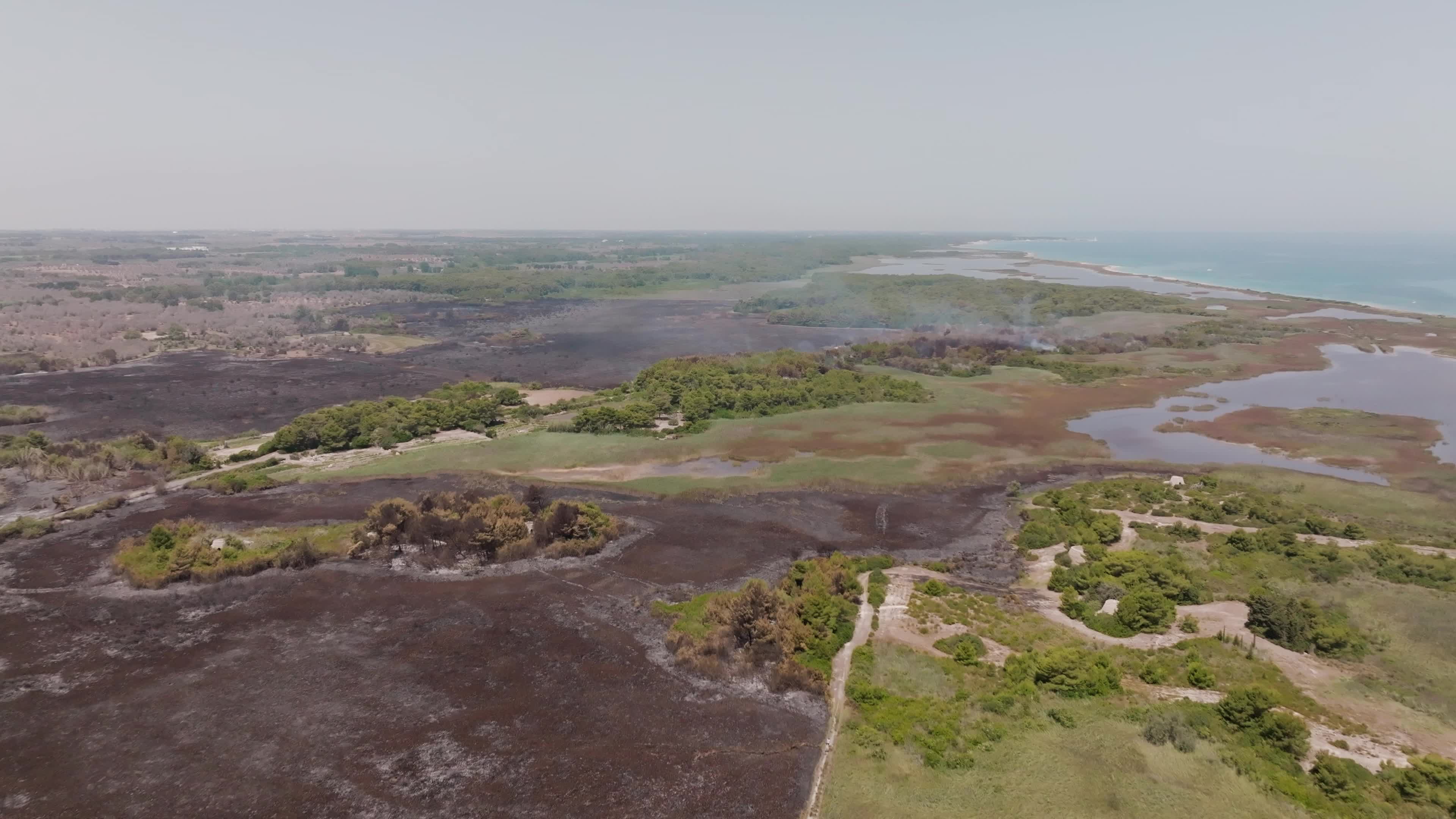 Wildfire in Le Cesine Nature Reserve