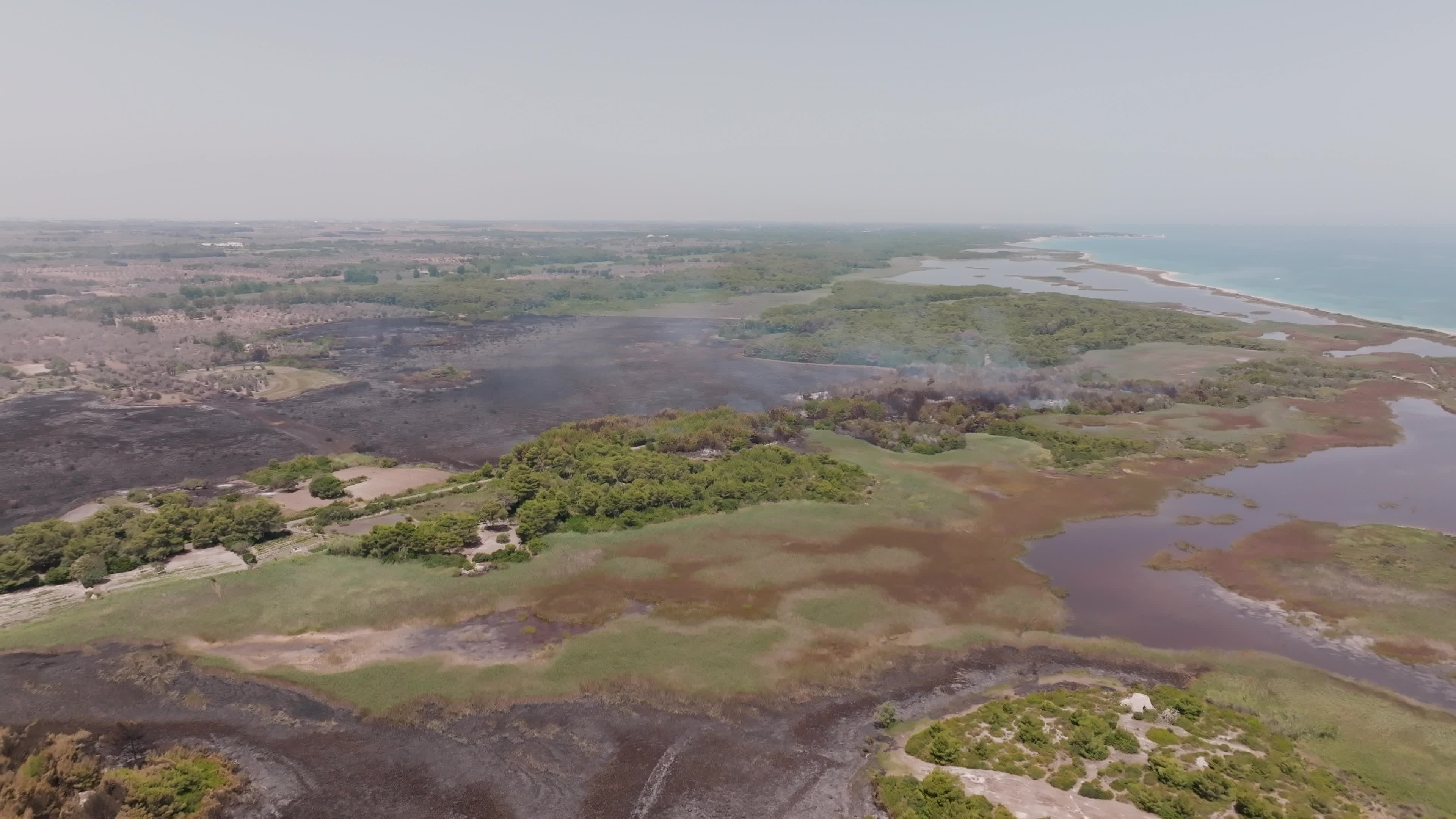 Wildfire in Le Cesine Nature Reserve