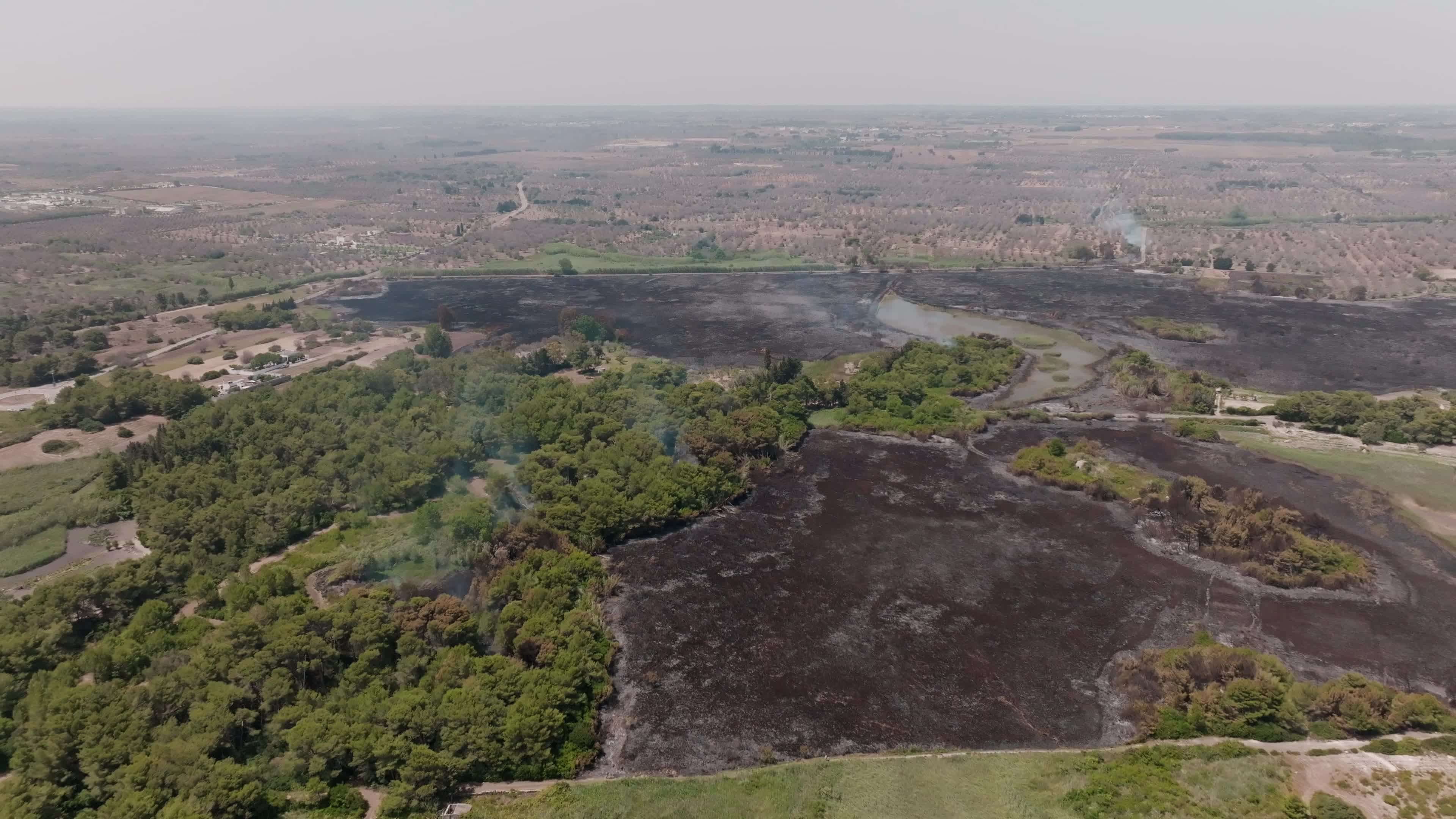 Wildfire in Le Cesine Nature Reserve