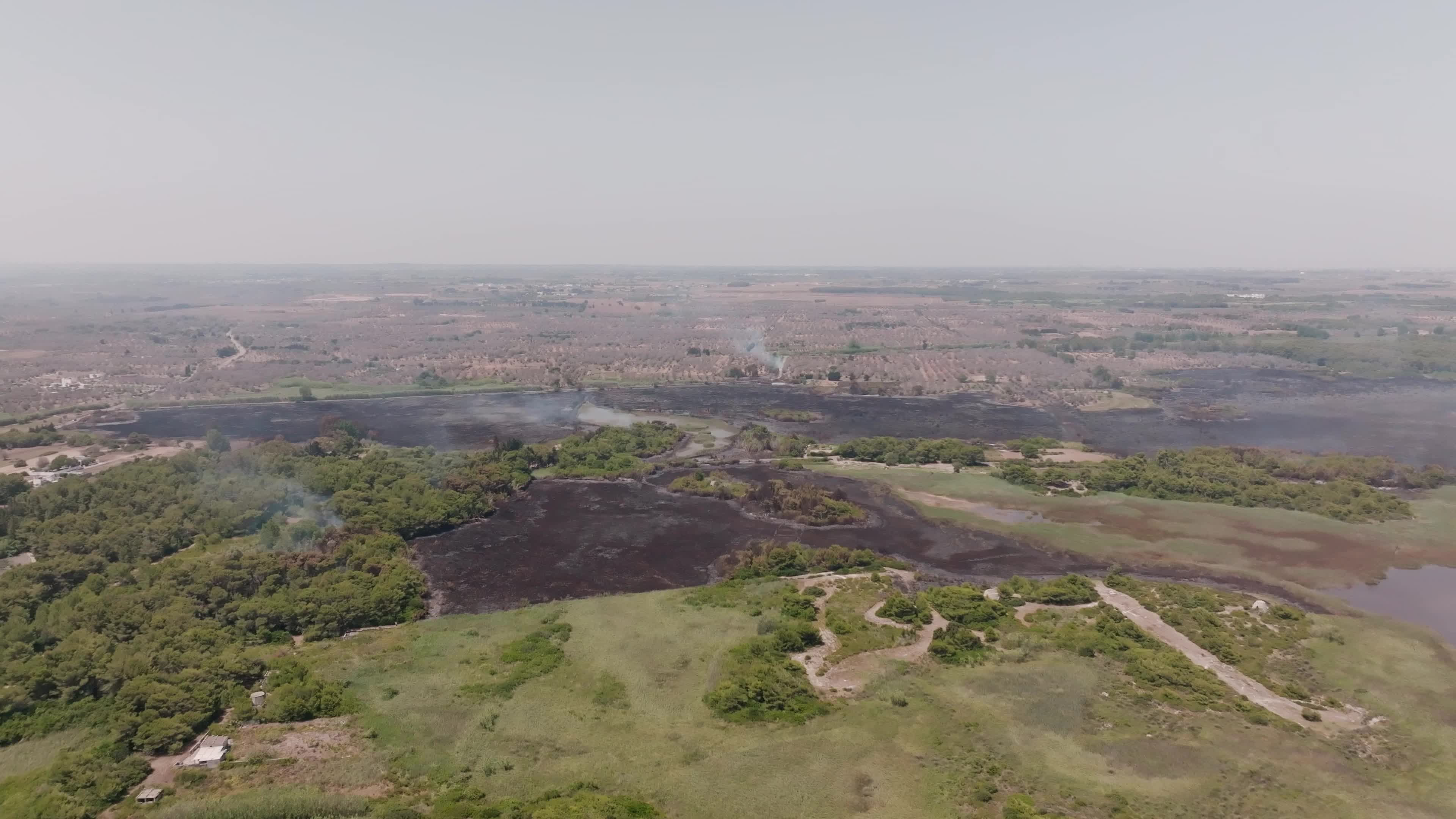 Wildfire in Le Cesine Nature Reserve