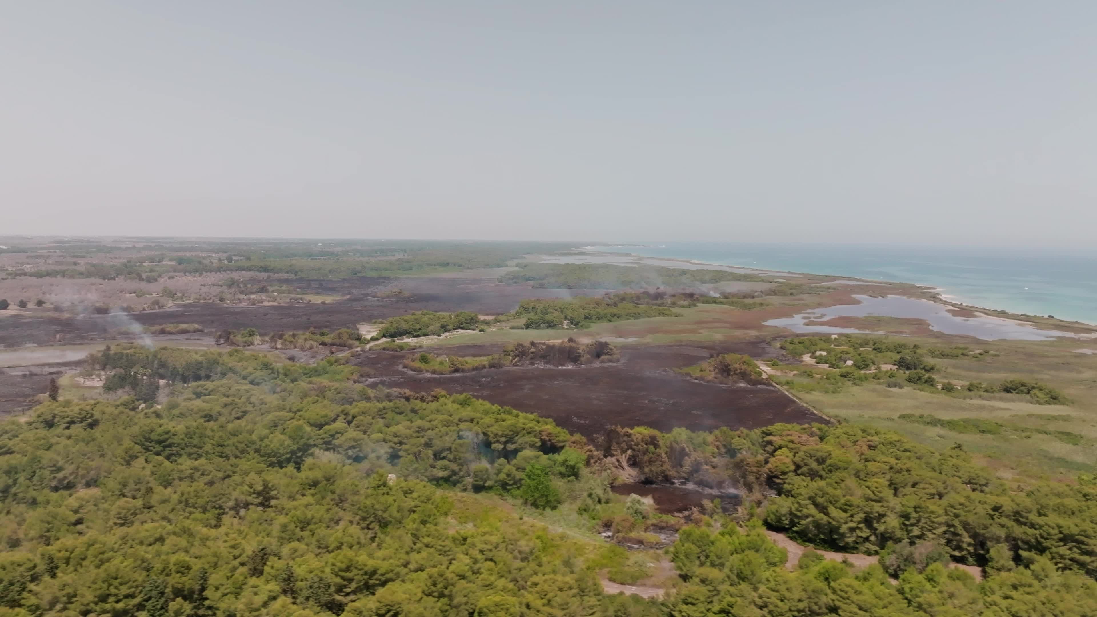 Wildfire in Le Cesine Nature Reserve