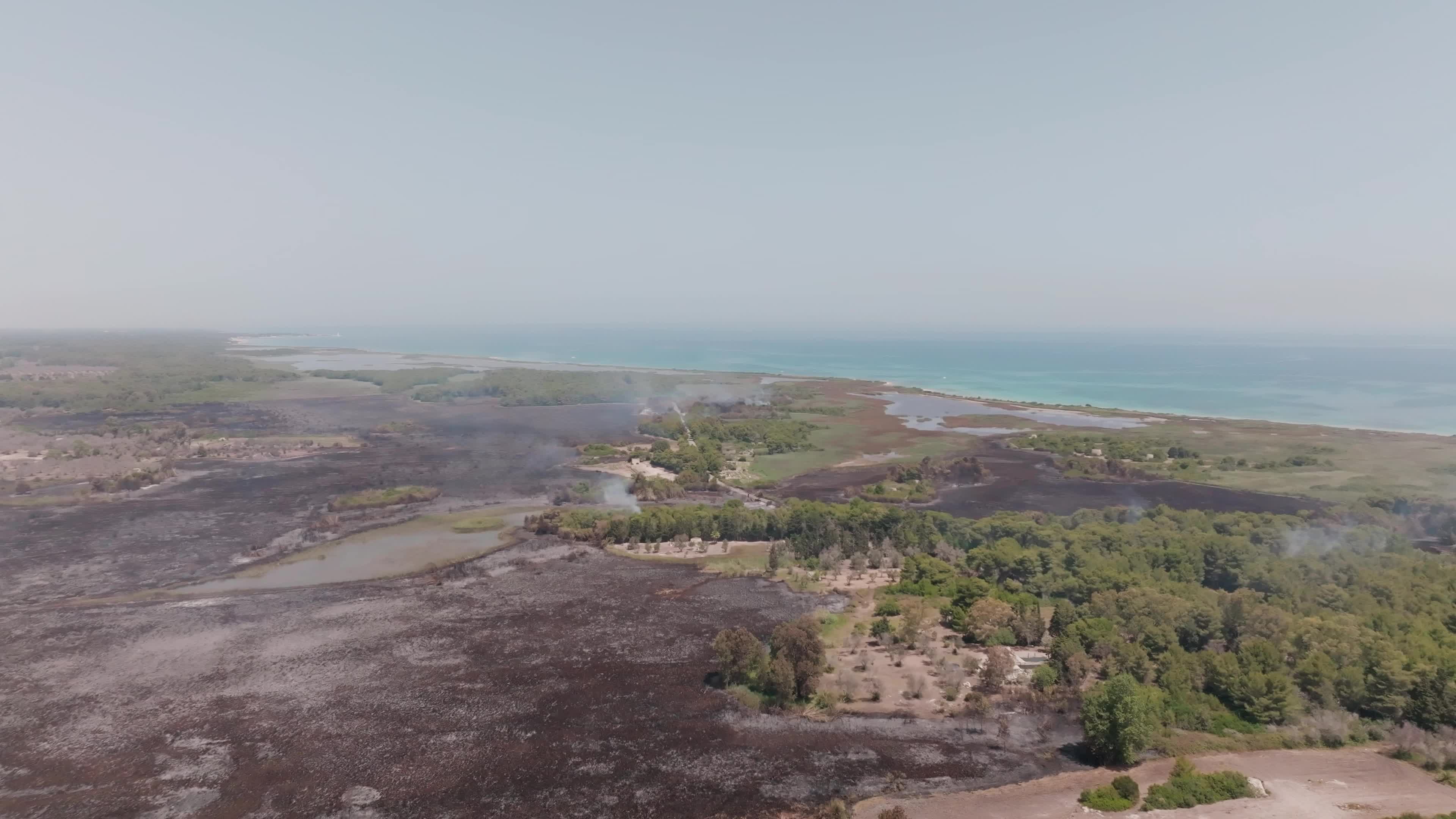 Wildfire in Le Cesine Nature Reserve