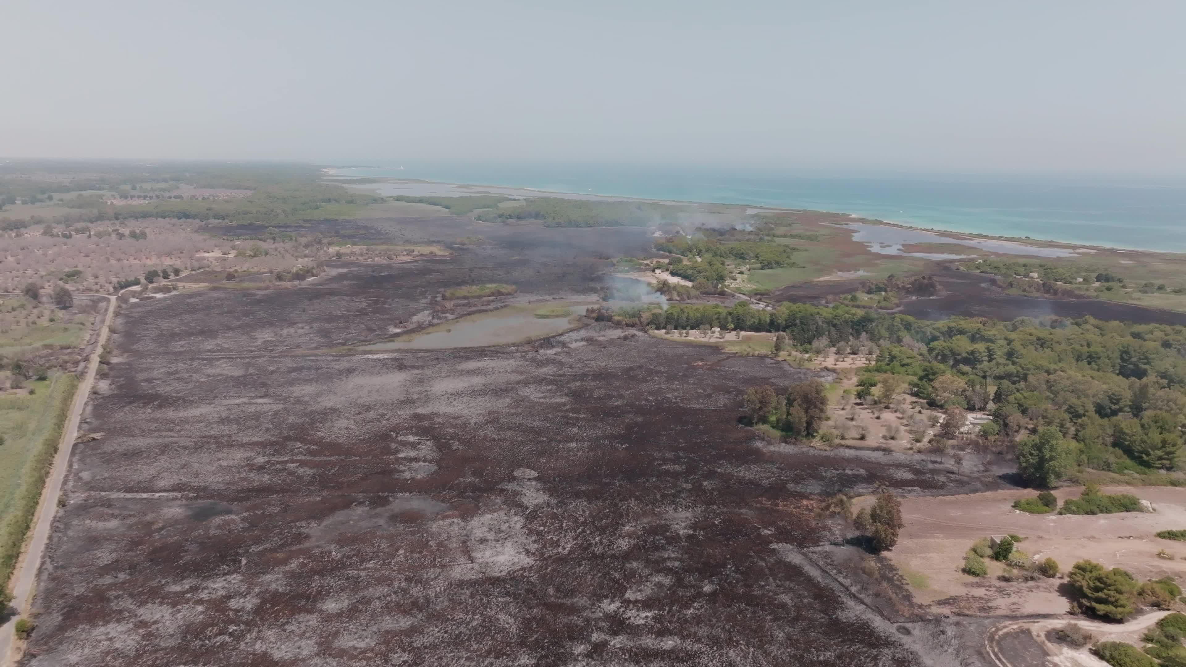 Wildfire in Le Cesine Nature Reserve