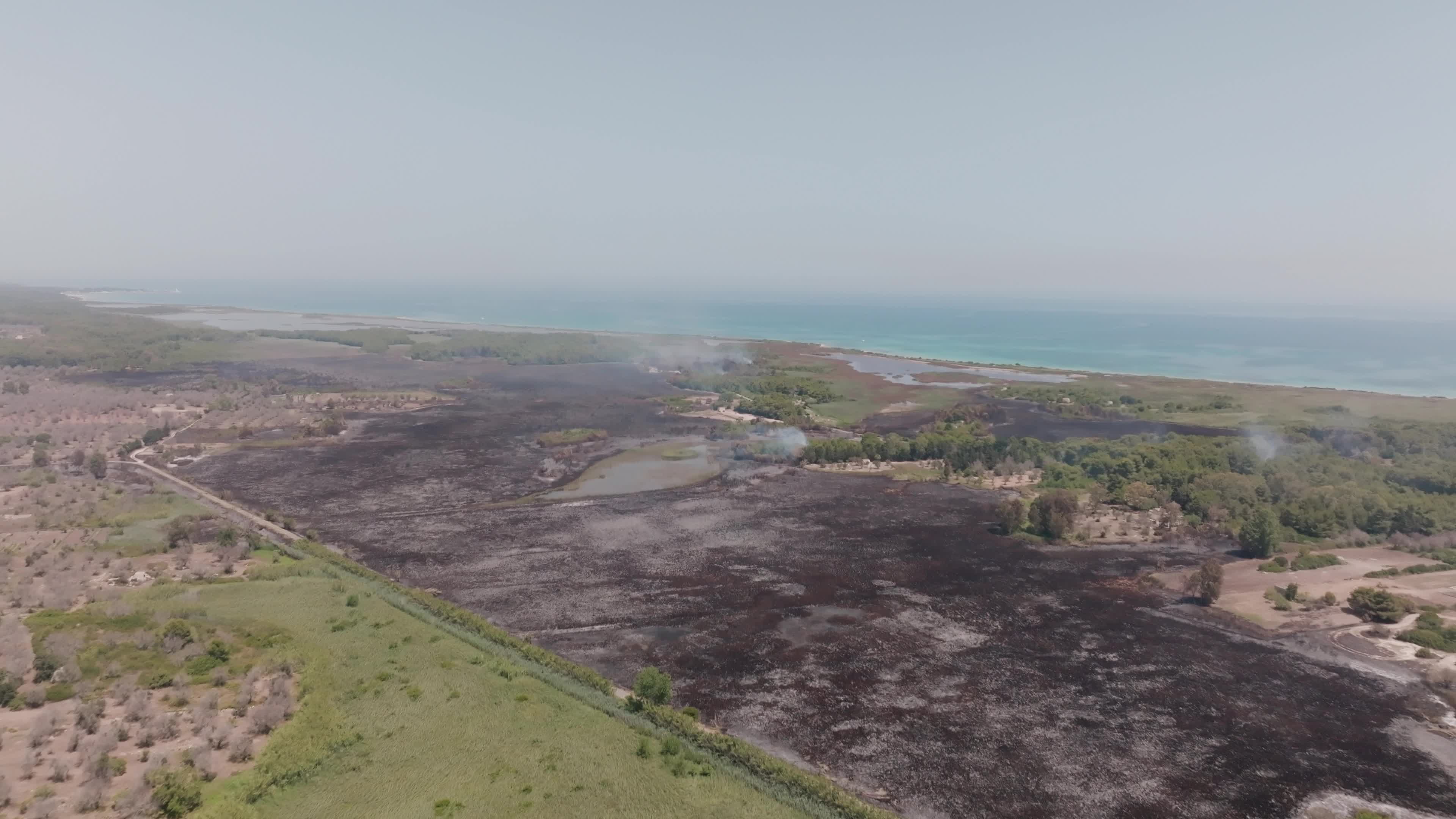 Wildfire in Le Cesine Nature Reserve