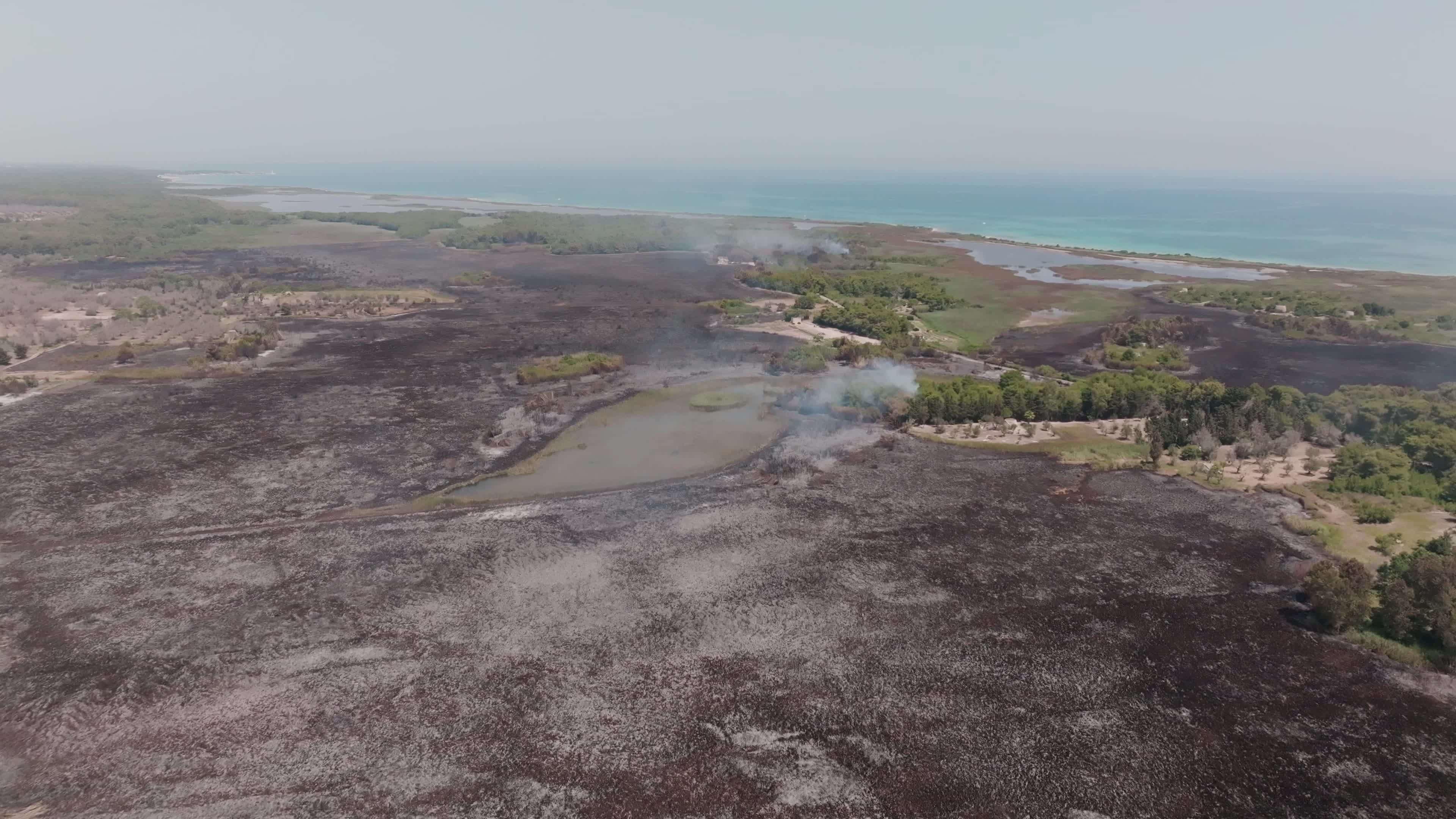 Wildfire in Le Cesine Nature Reserve