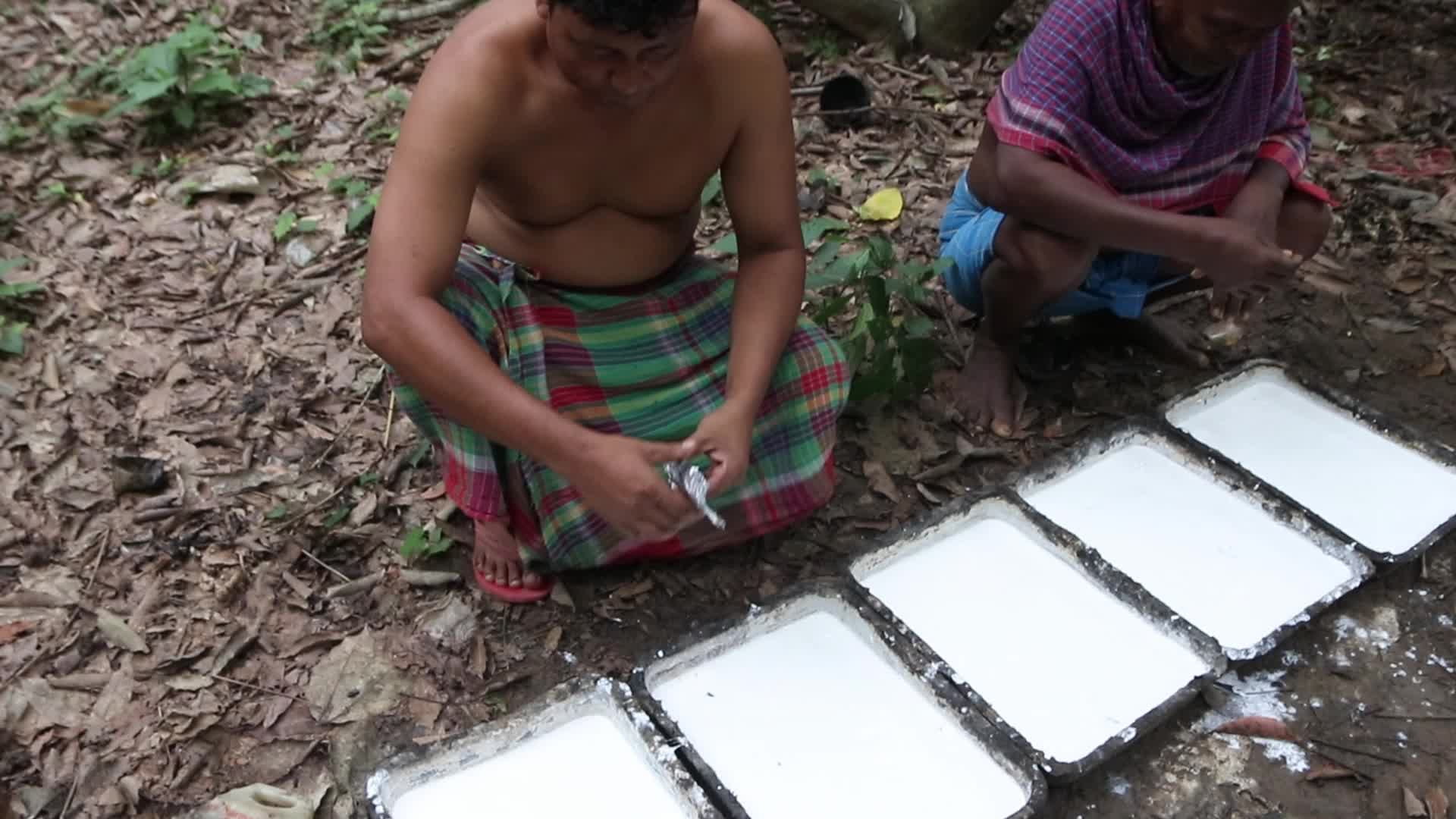 Farmer Collects Latex From The Rubber Trees