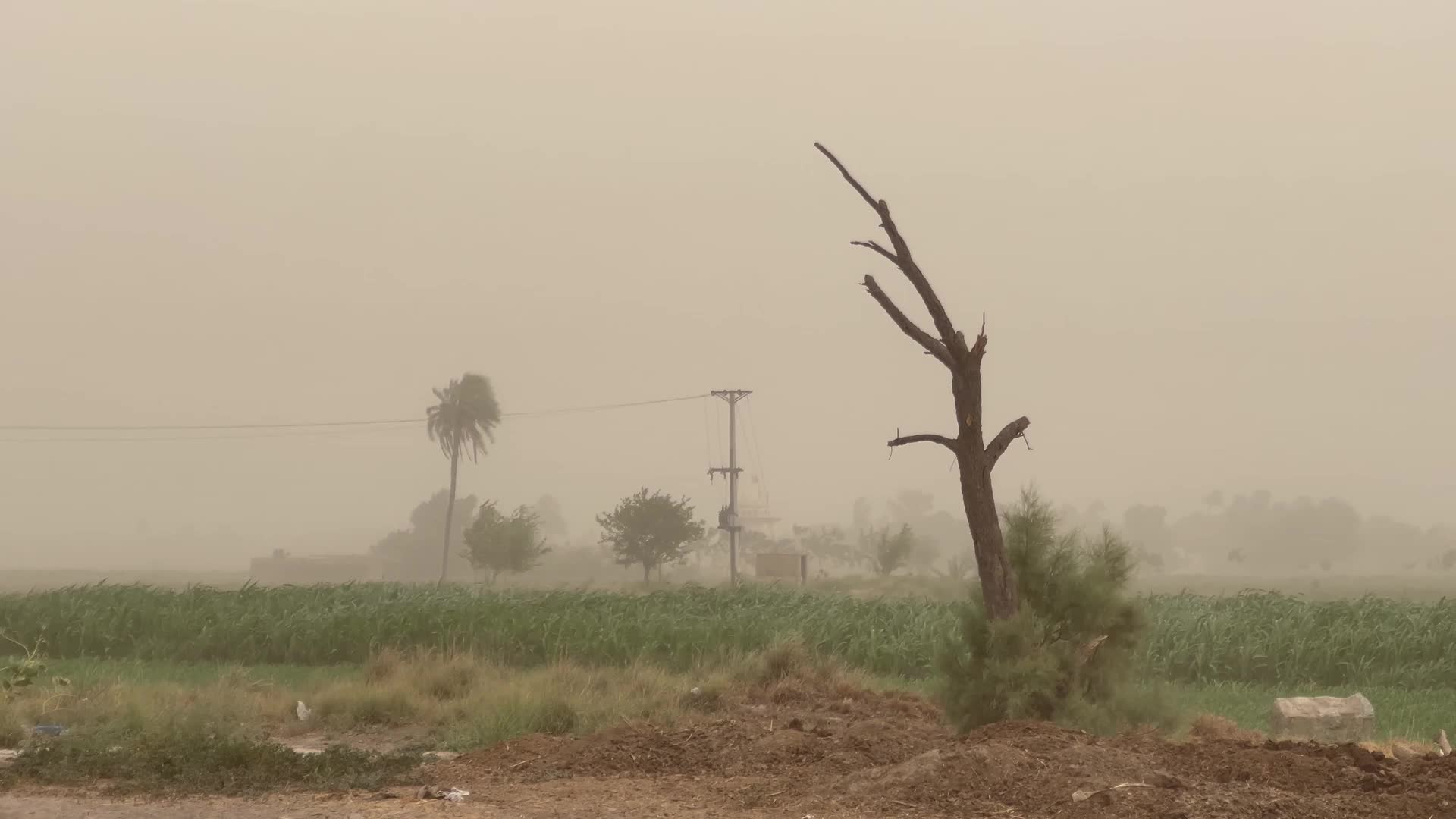  Heavy Dusty storm in Peshawar