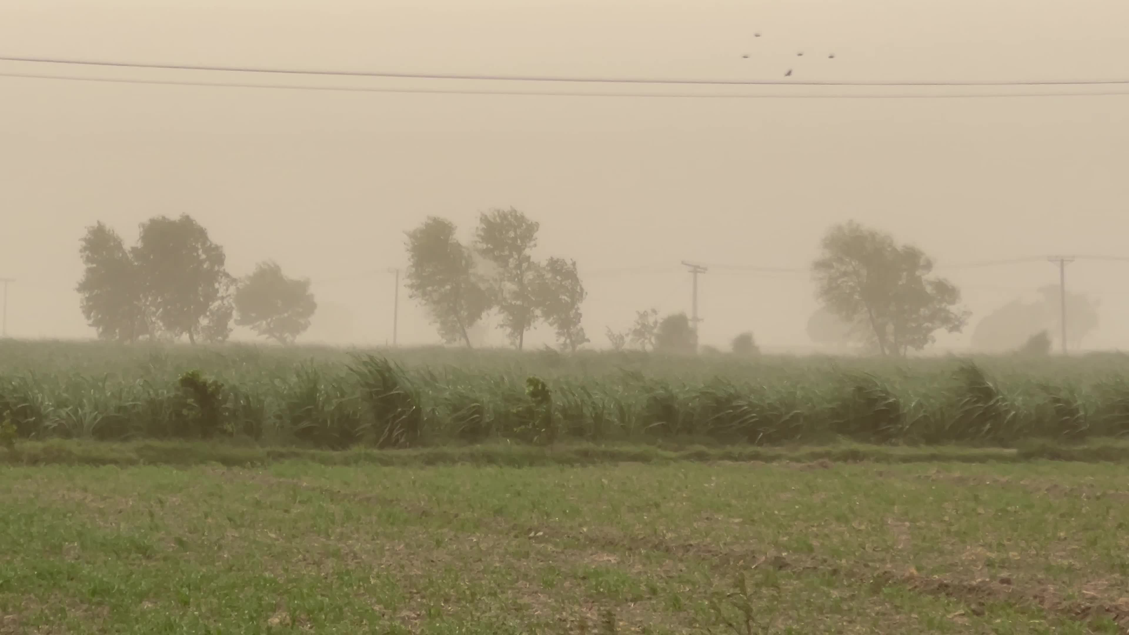  Heavy Dusty storm in Peshawar