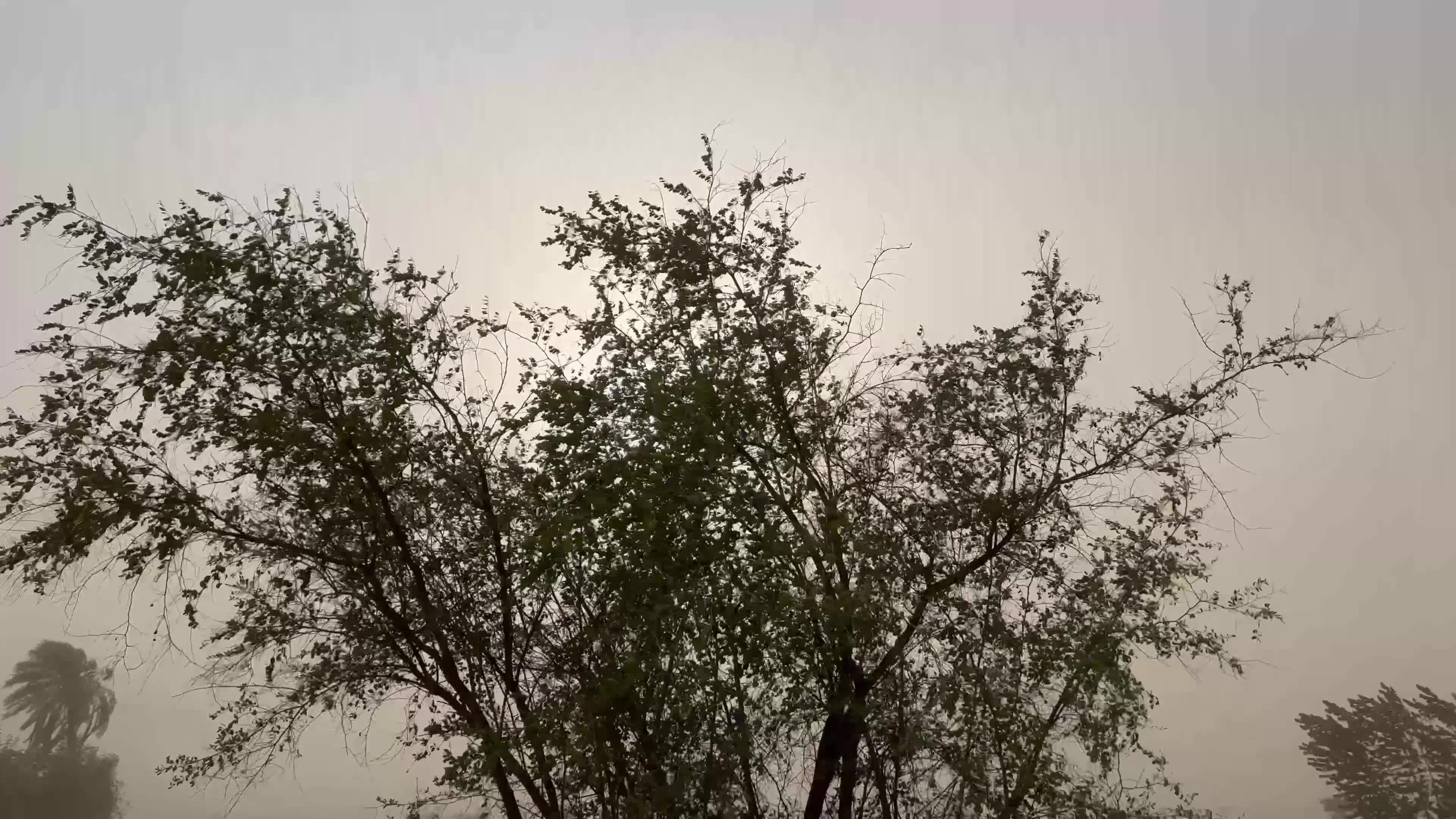 Heavy Dusty storm in Peshawar