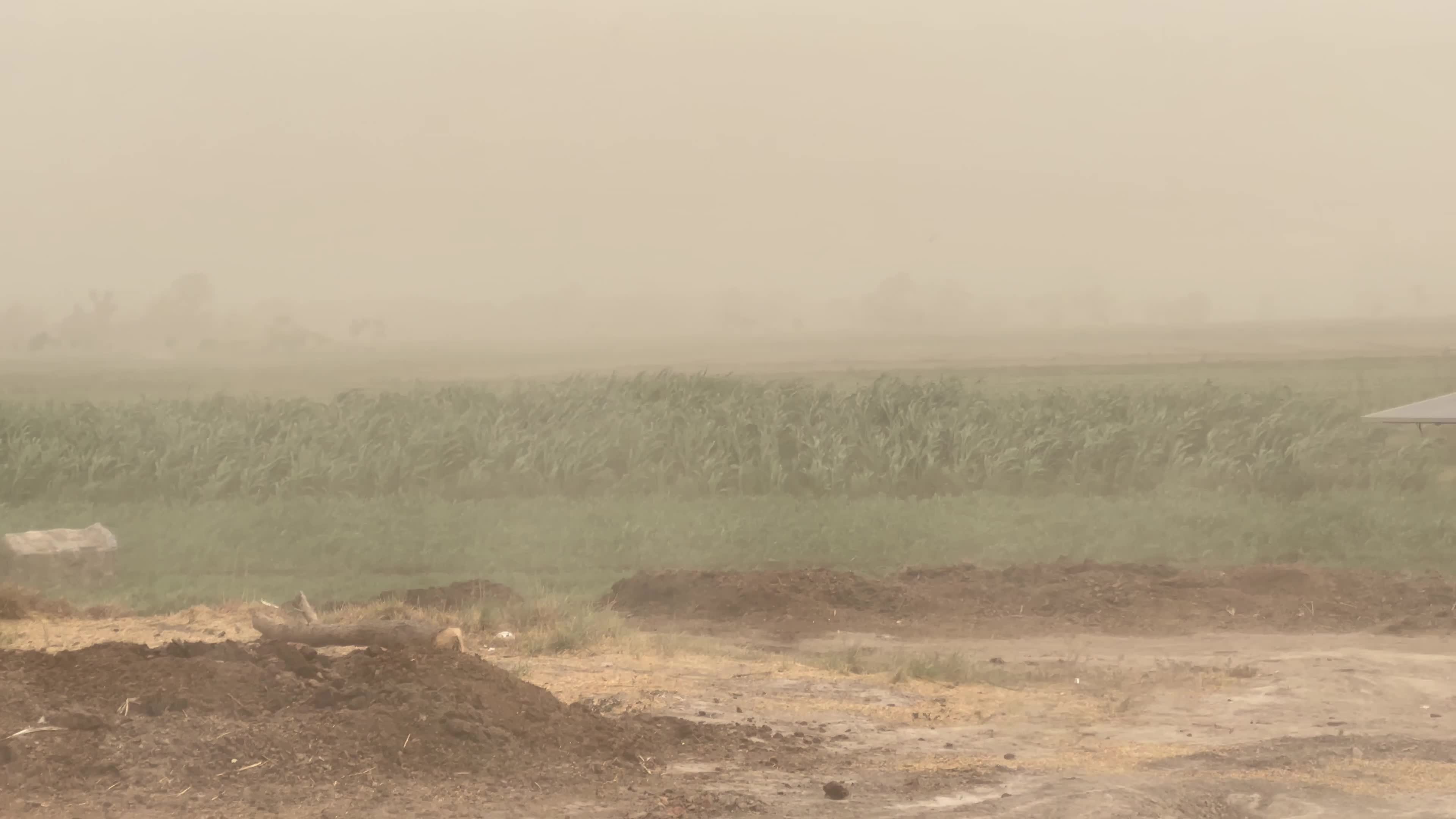  Heavy Dusty storm in Peshawar