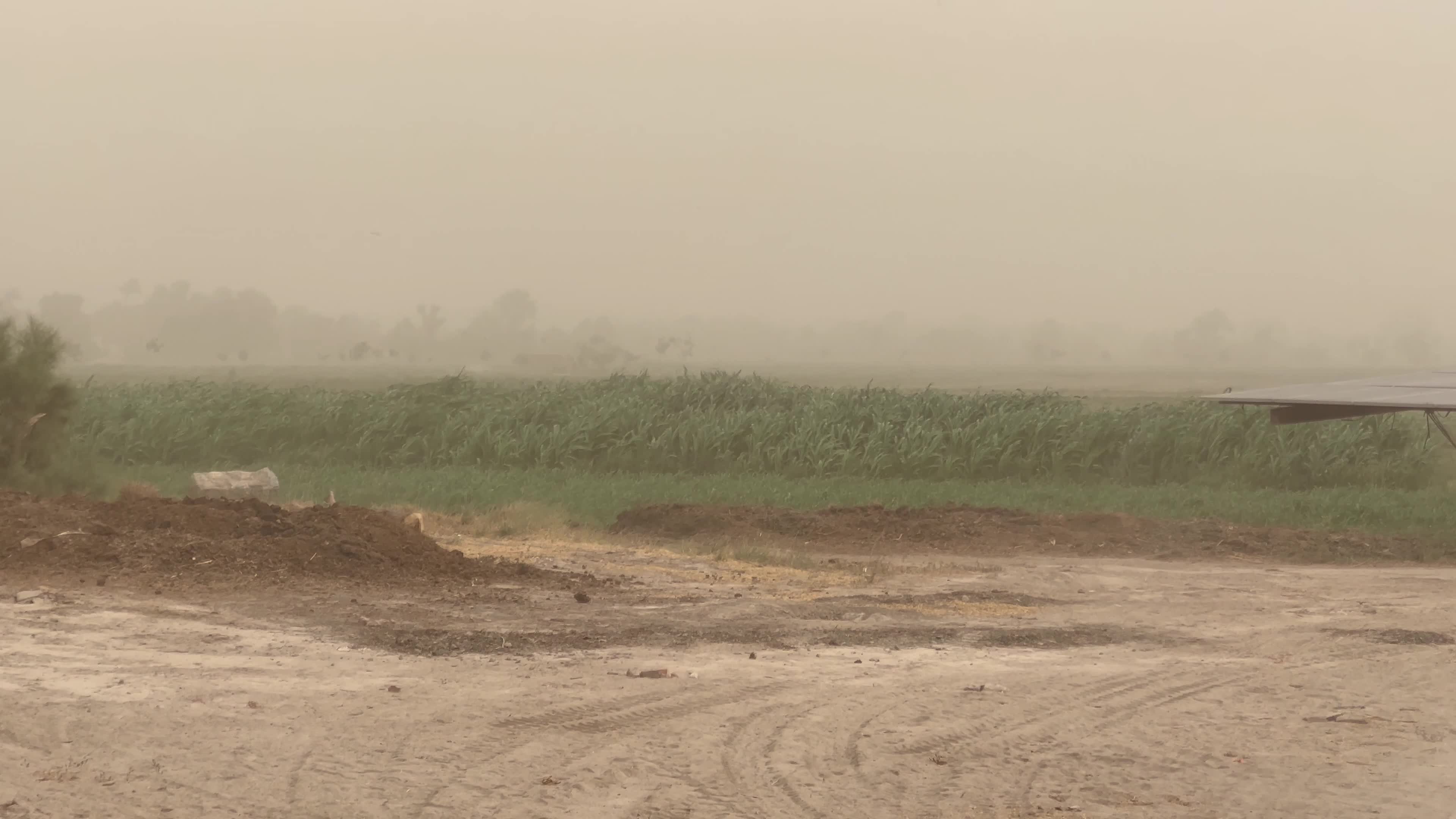  Heavy Dusty storm in Peshawar