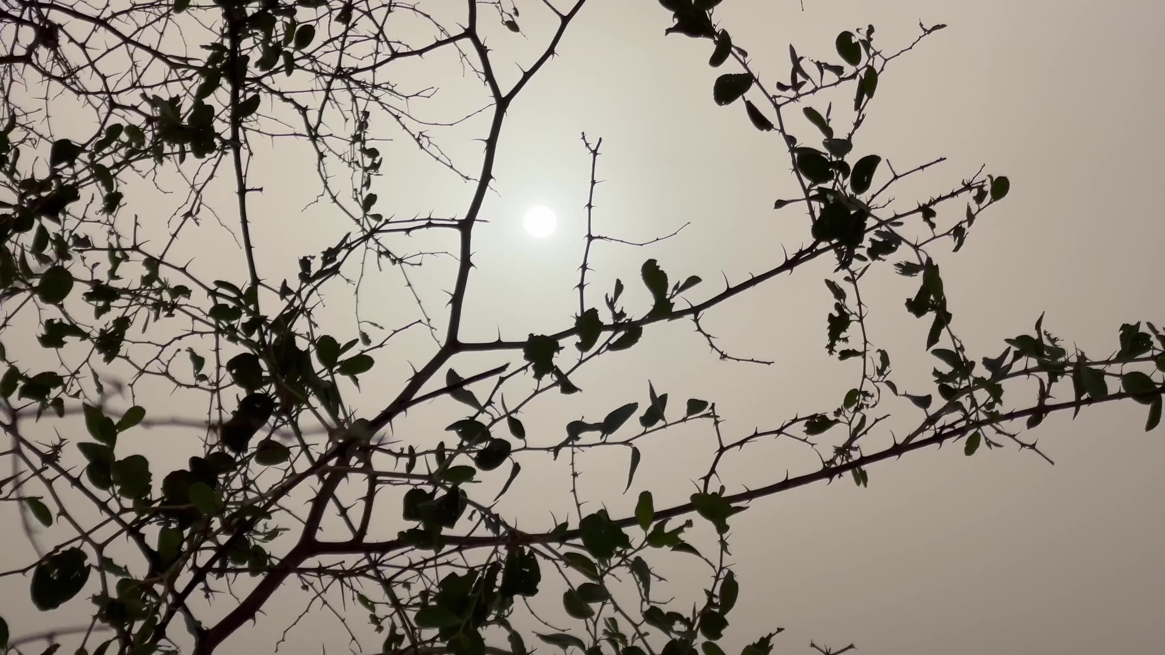  Heavy Dusty storm in Peshawar