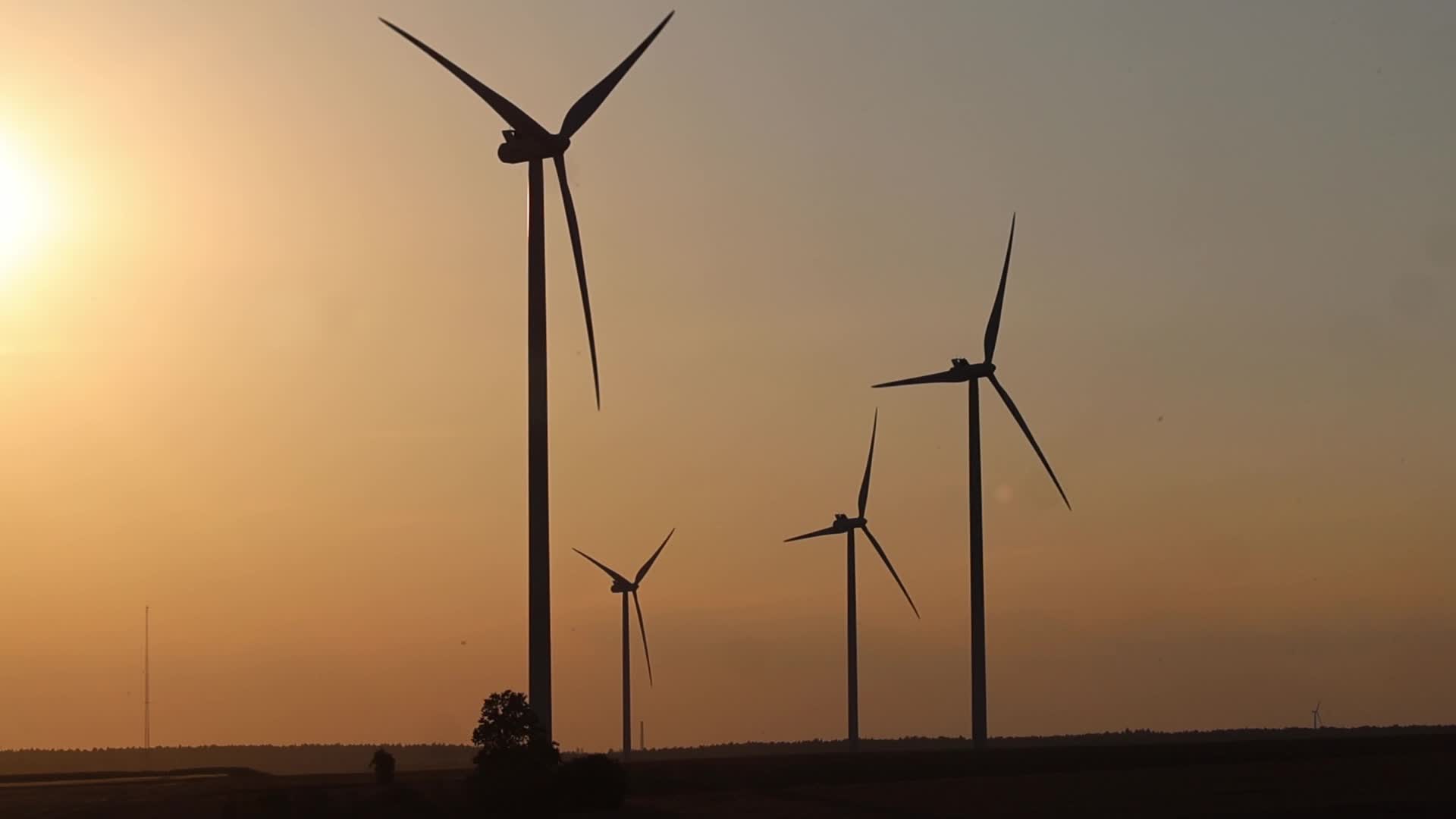 Wind Power develops in Poland as Global Energy Independence Day approaches