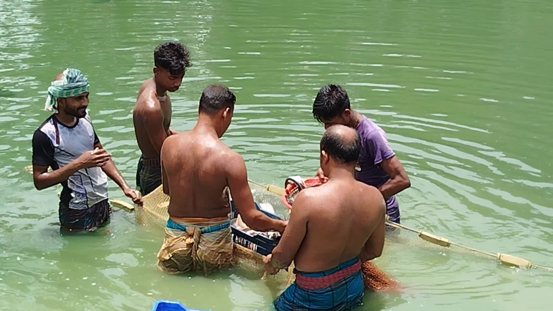 Fish Farming in Bangladesh 