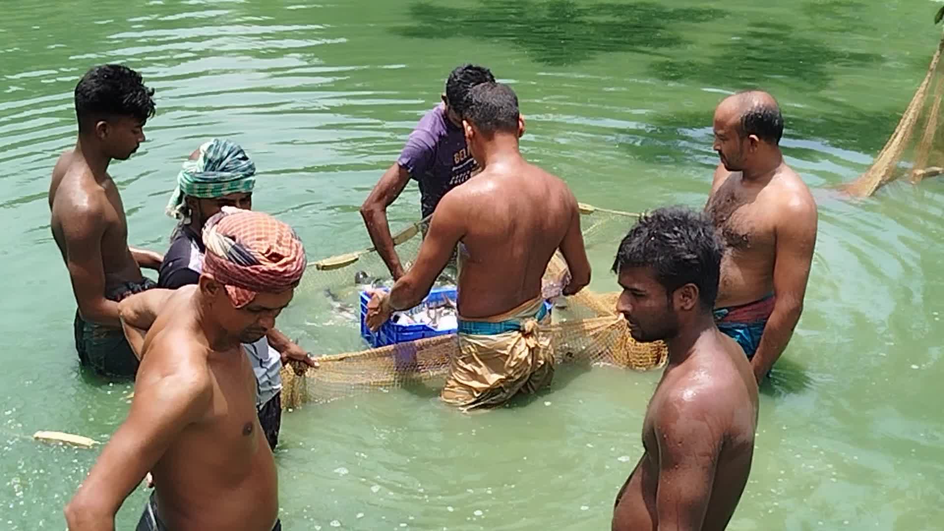 Fish Farming in Bangladesh 