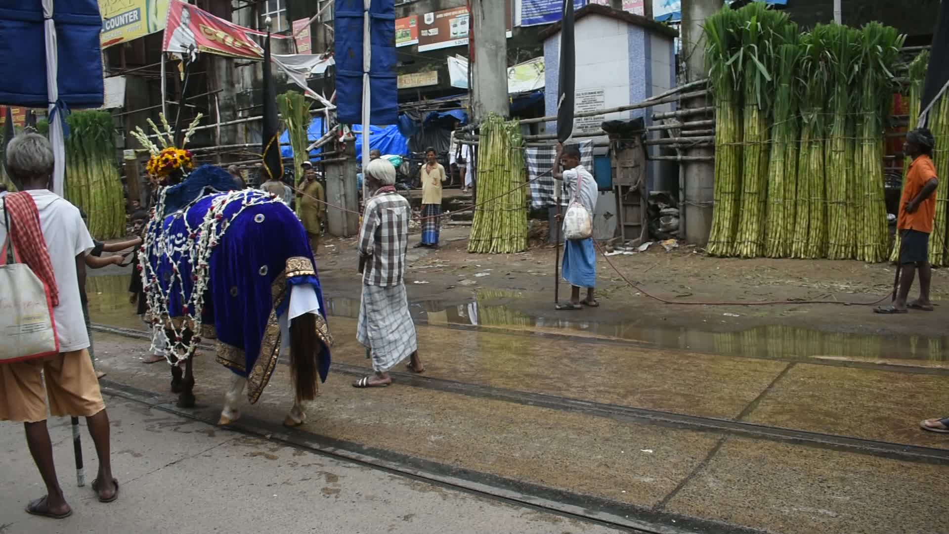 Alam procession on fifth day of Muharram observation in India.