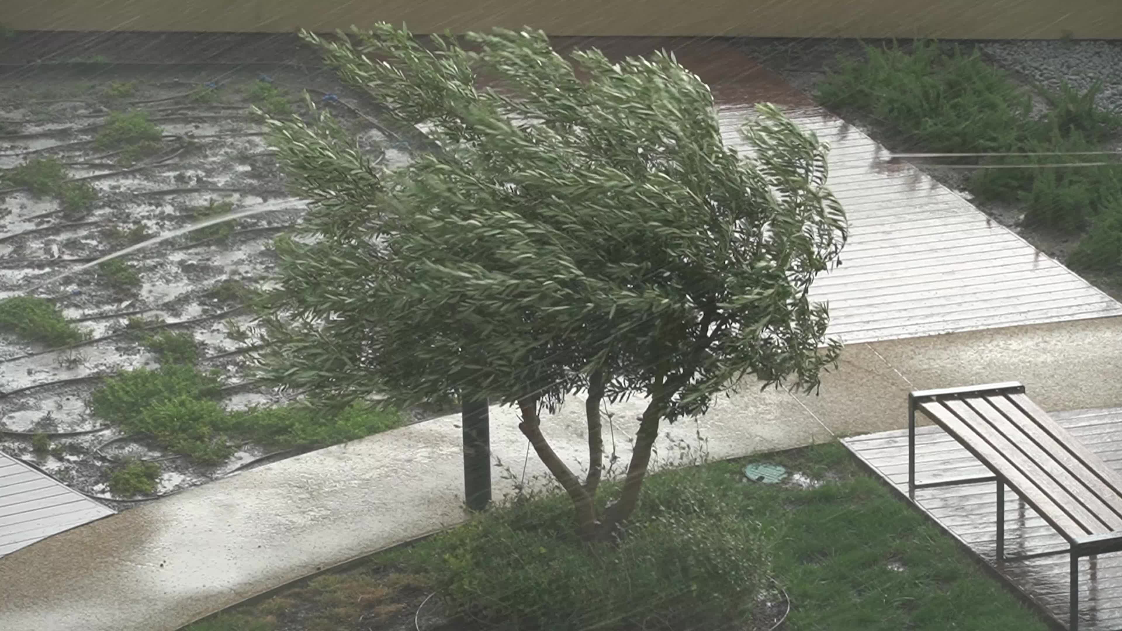 Torrential rain in mid-July