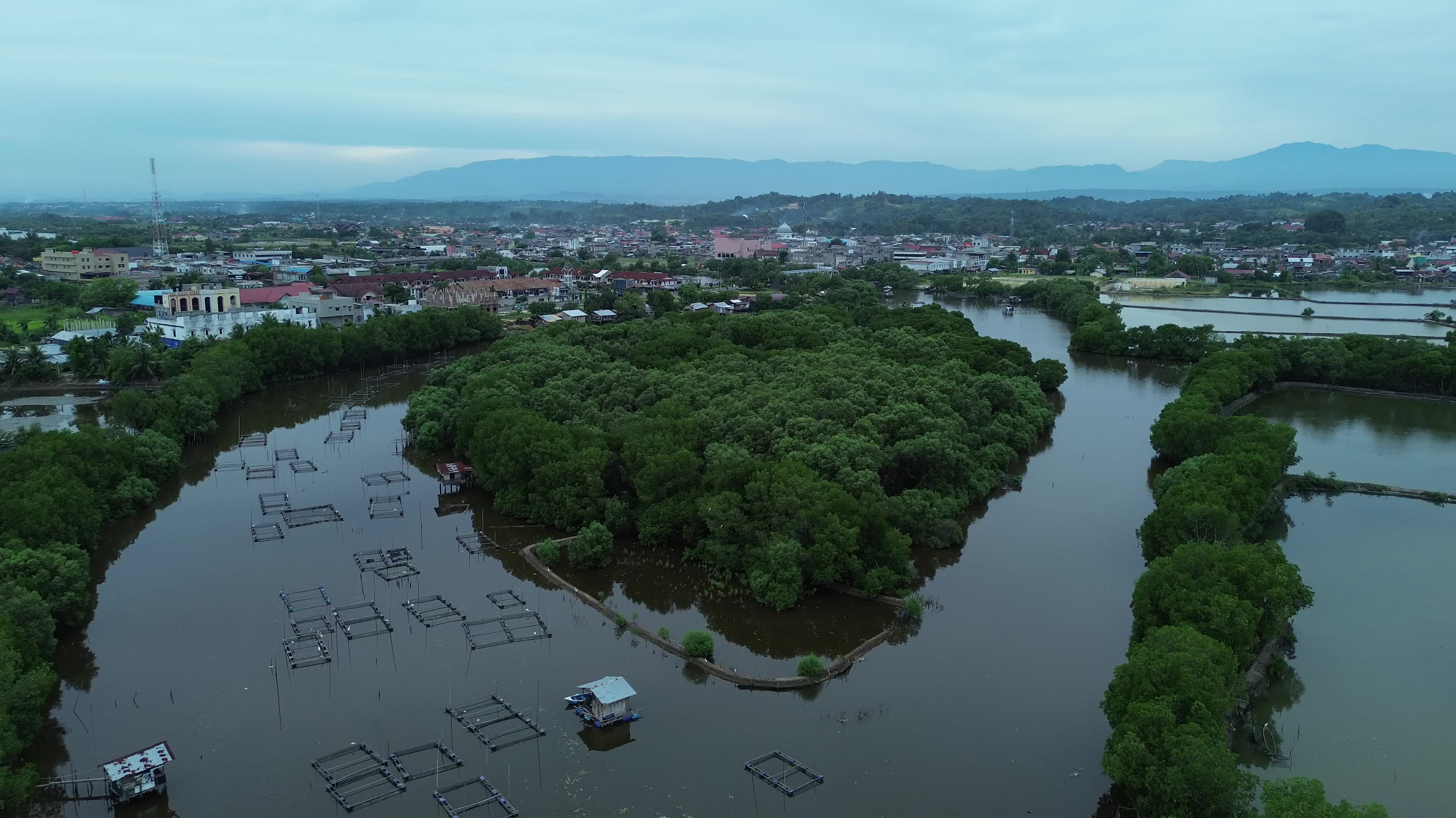 Farmers use Mangrove Fruit in Aceh
