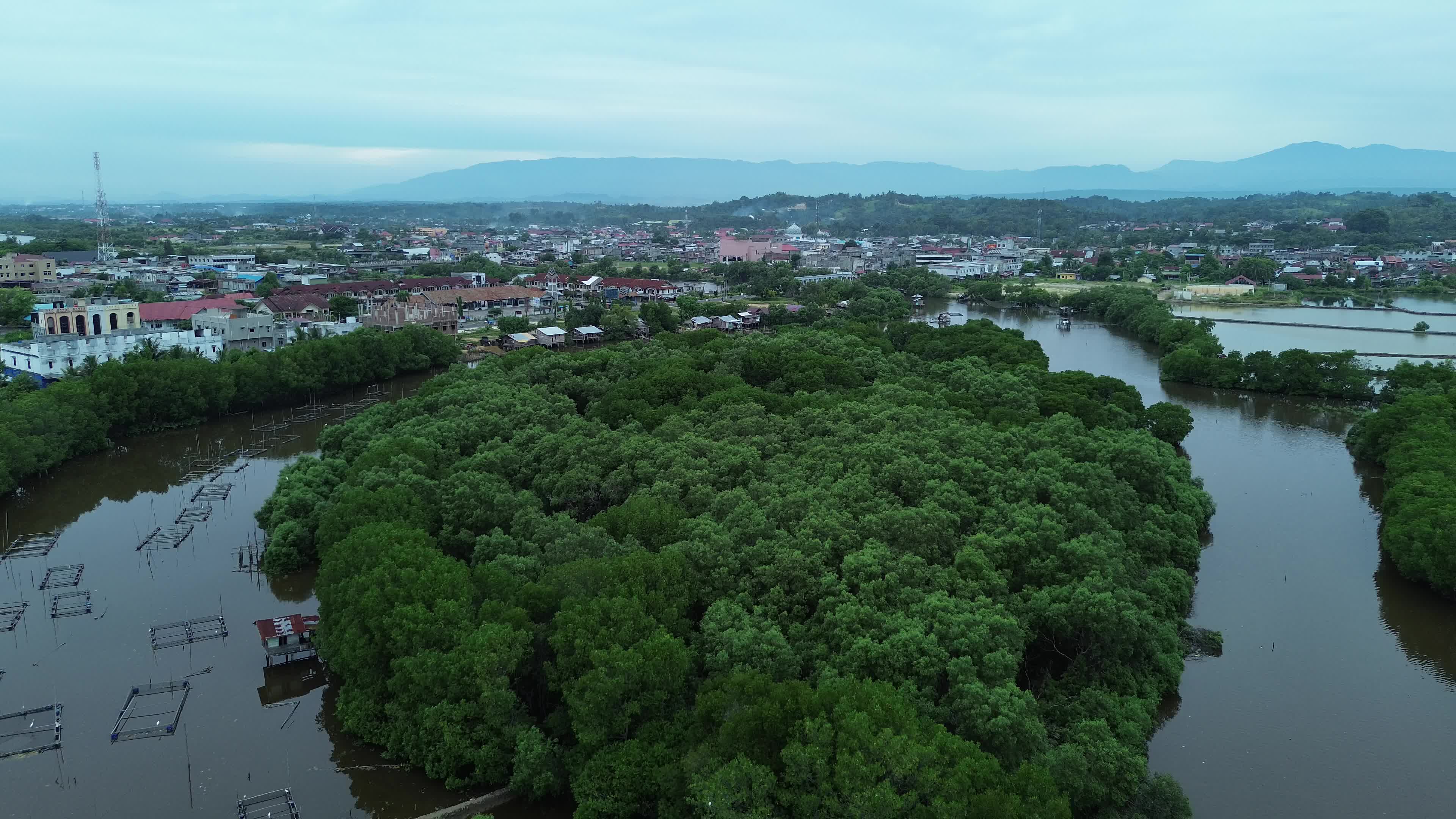 Farmers use Mangrove Fruit in Aceh